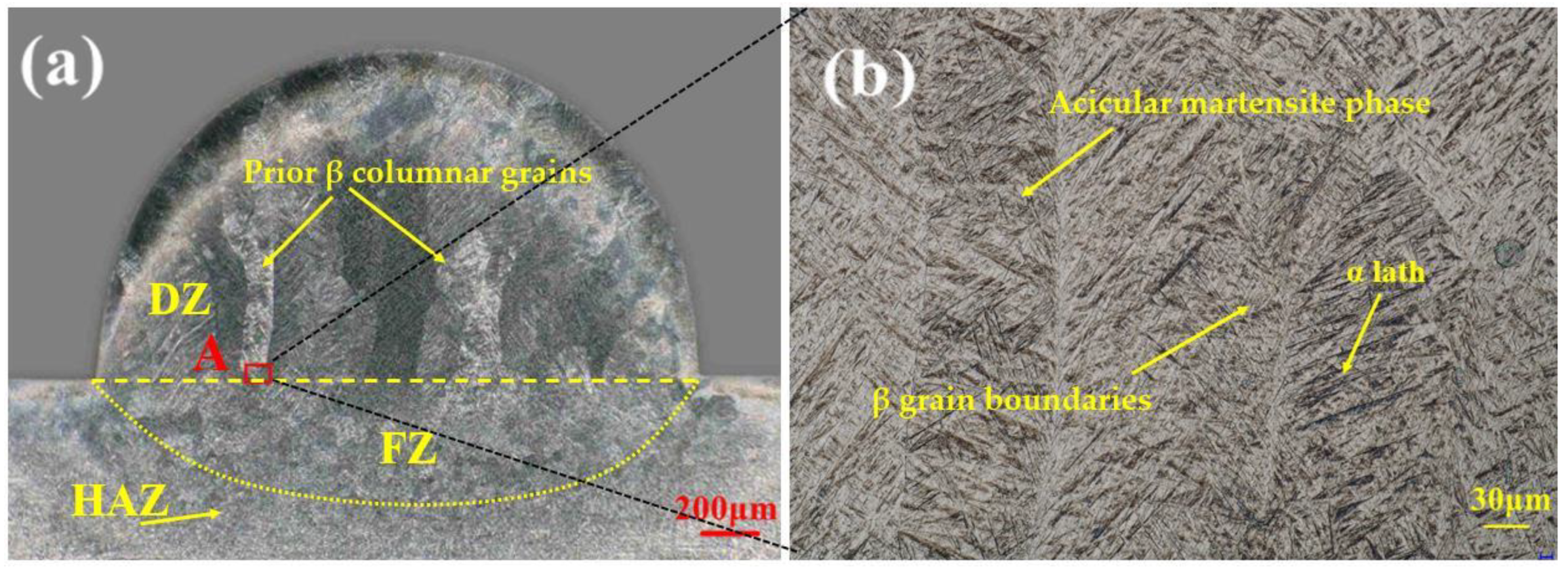 Investigation of the Microstructure of Ti6Al4V Alloy by Coaxial Double ...