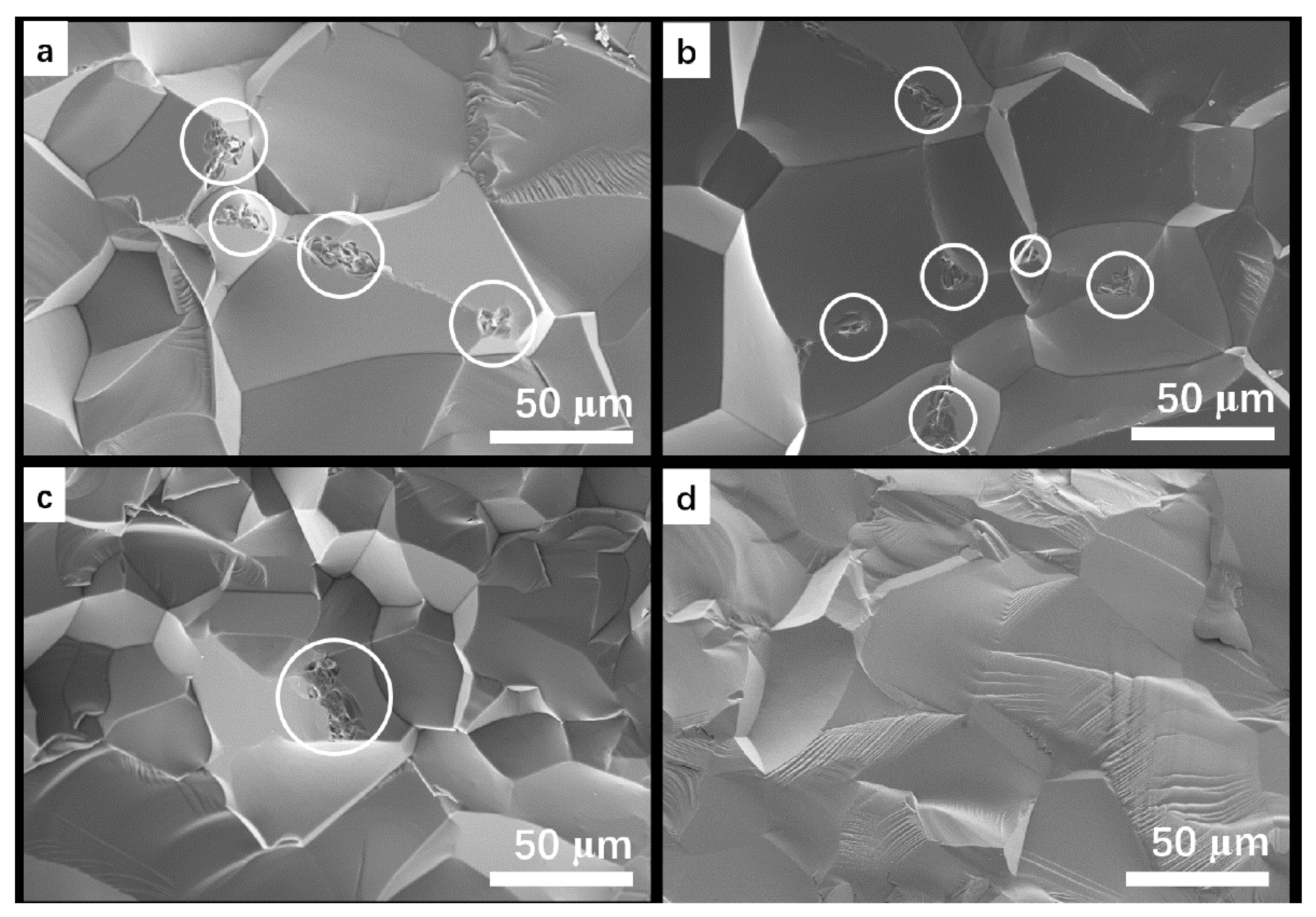 Materials 15 08036 g006