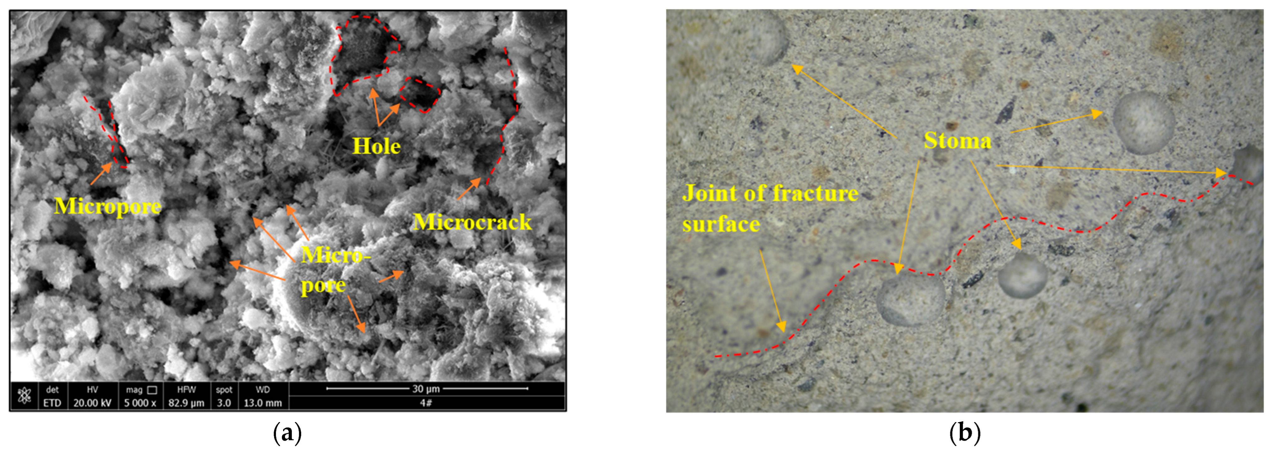 Materials 15 08038 g010