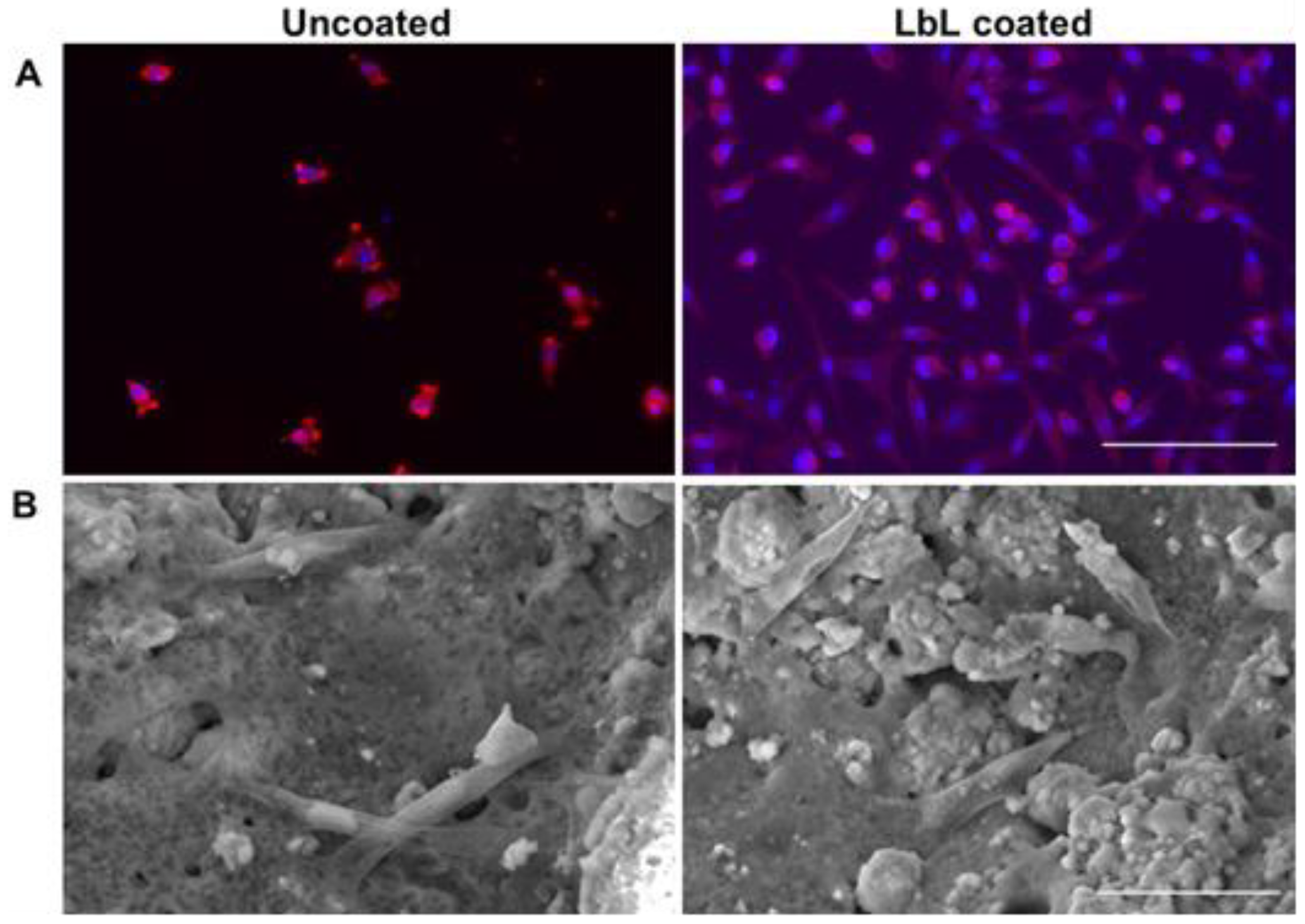 Materials 15 08080 g005 Materials 15 08080 g005