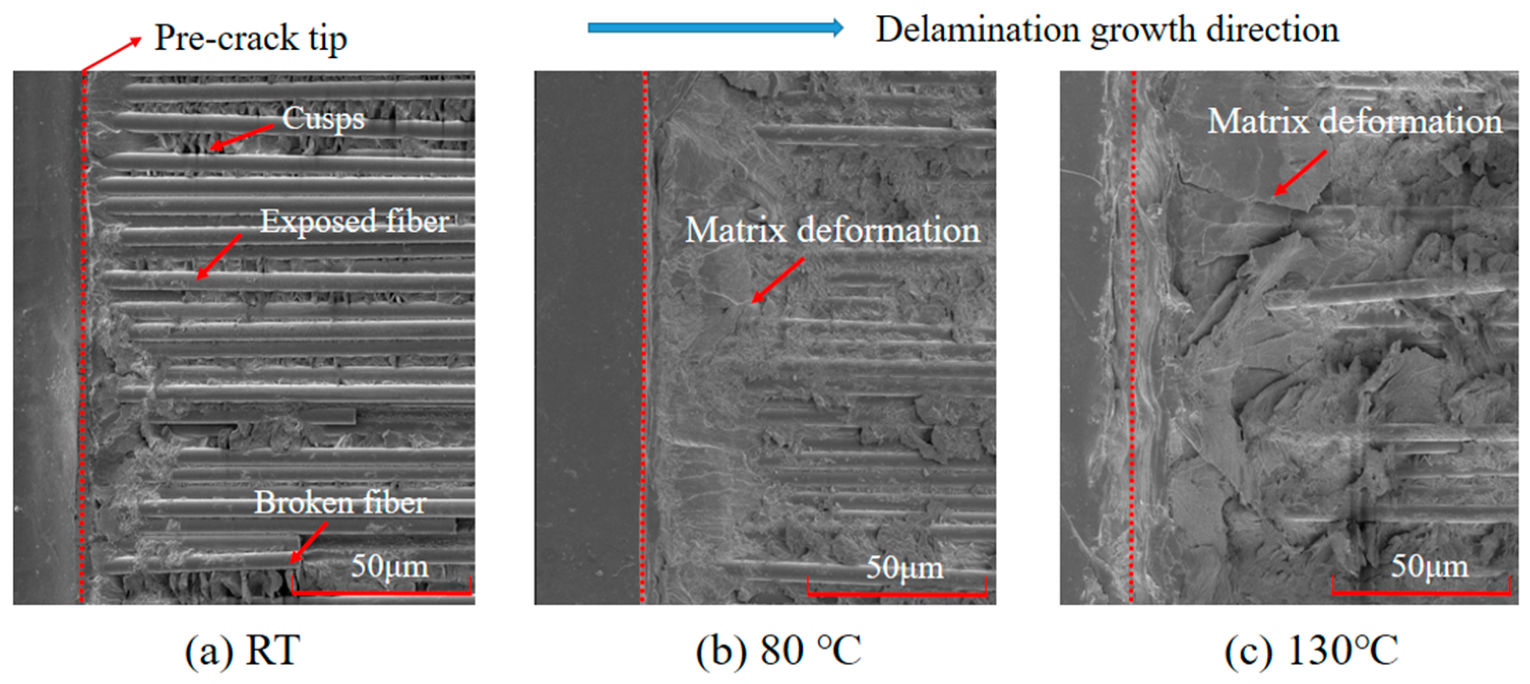 Materials 15 08108 g007