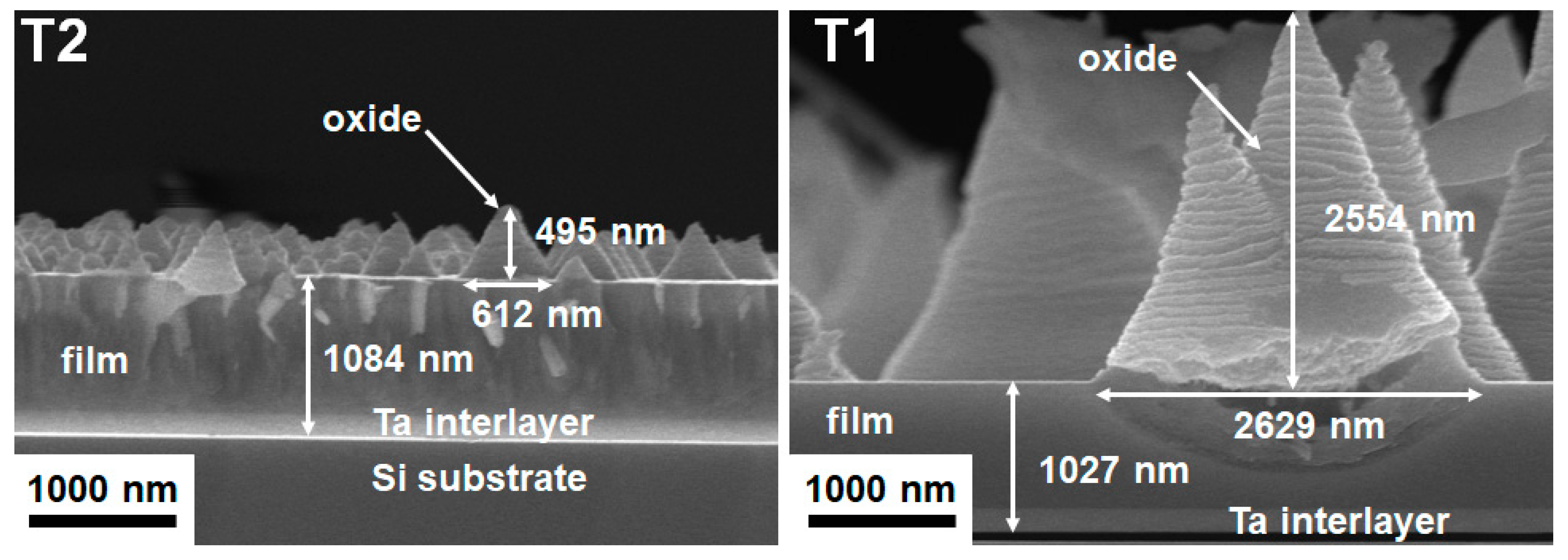 Materials 15 08179 g013