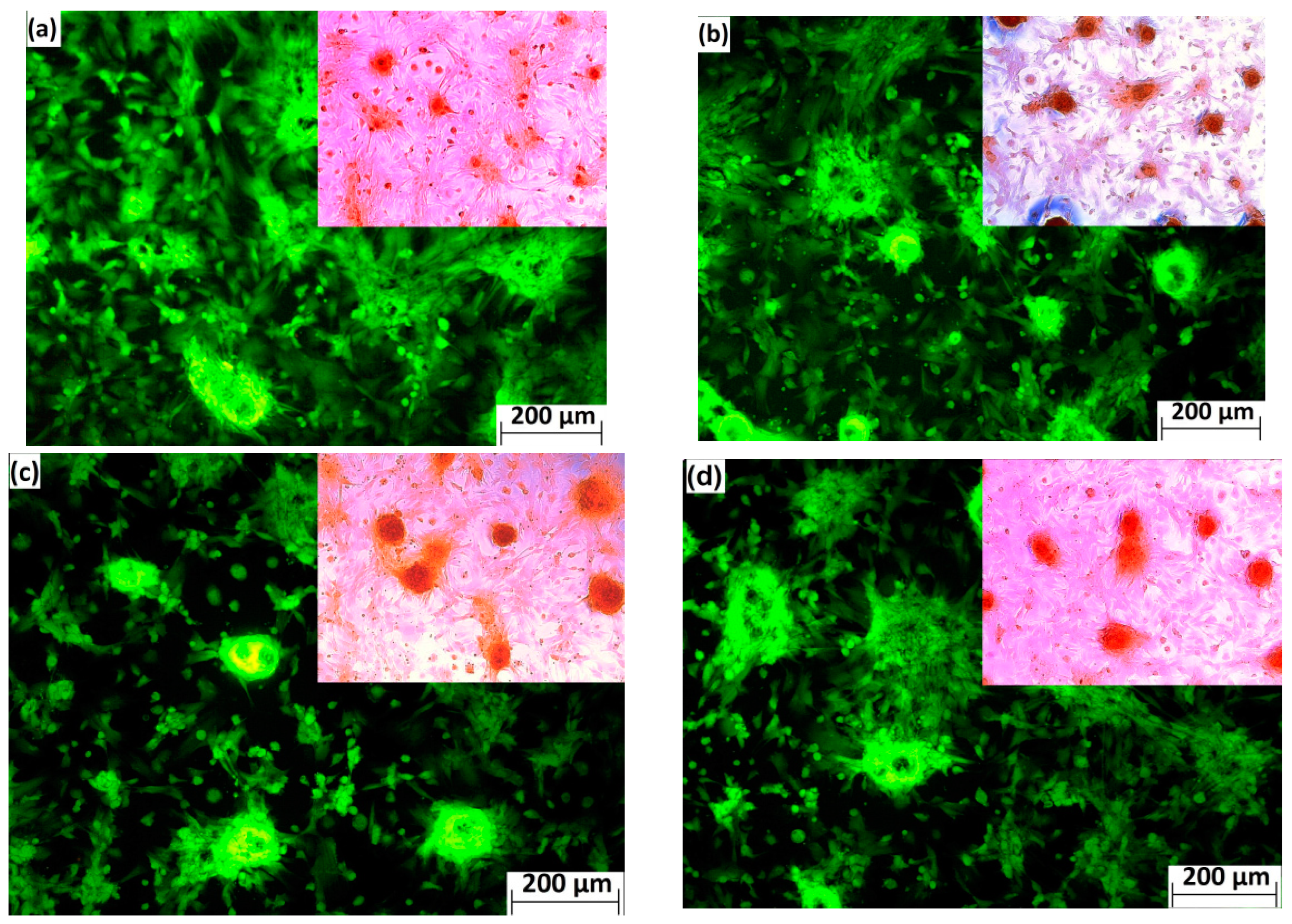 Materials 15 08212 g008 Materials 15 08212 g008