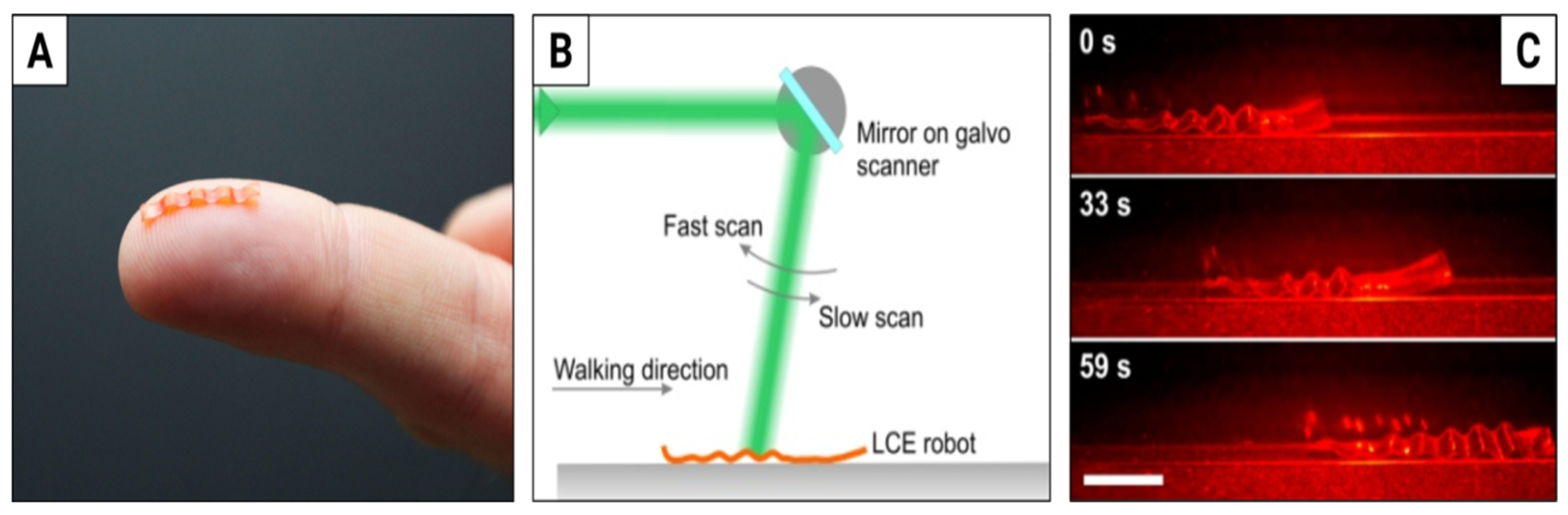 Materials 15 08214 g004 Materials 15 08214 g004