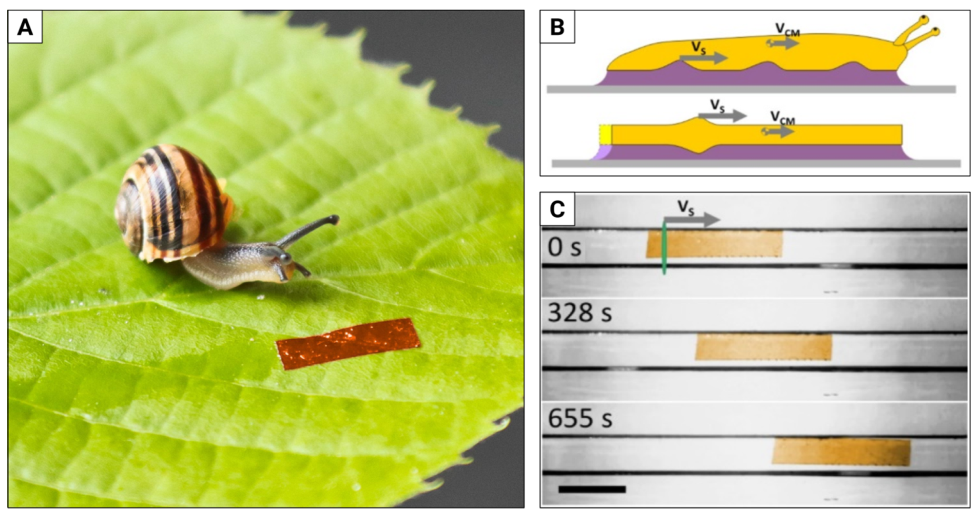 Materials 15 08214 g005 Materials 15 08214 g005