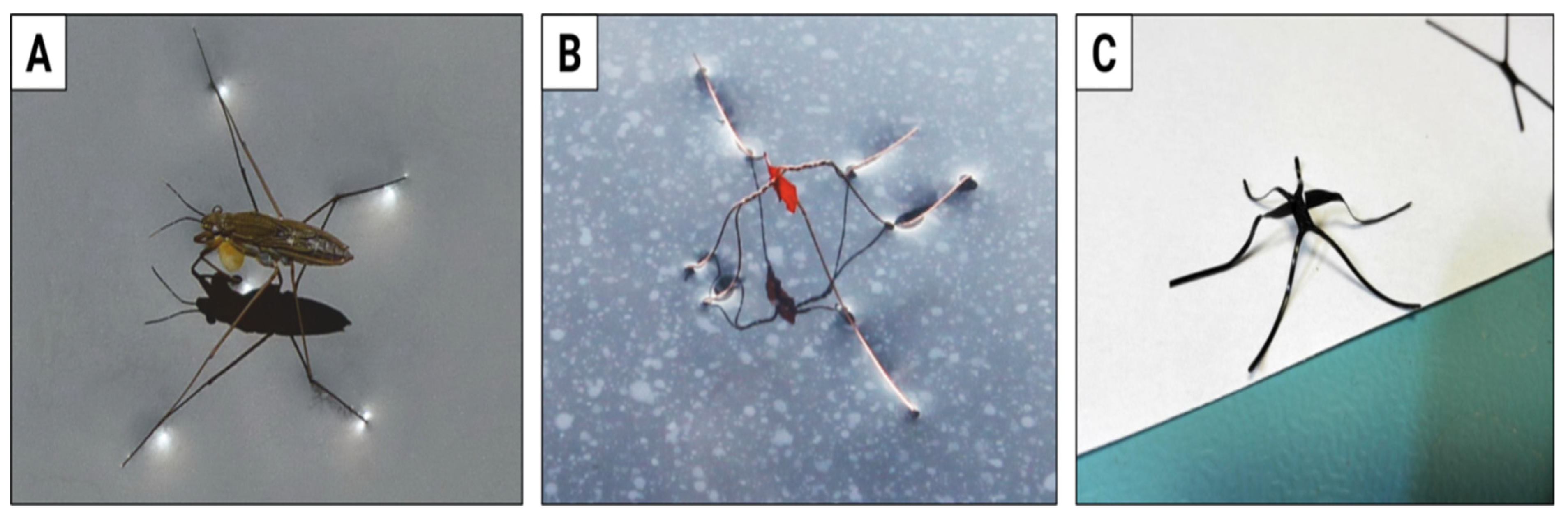 Materials 15 08214 g006 Materials 15 08214 g006