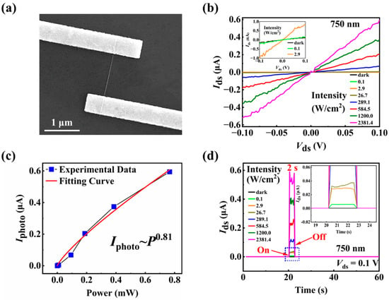 Optoelectronic Artificial Synapses Based on Two-Dimensional  Transitional-Metal Trichalcogenide