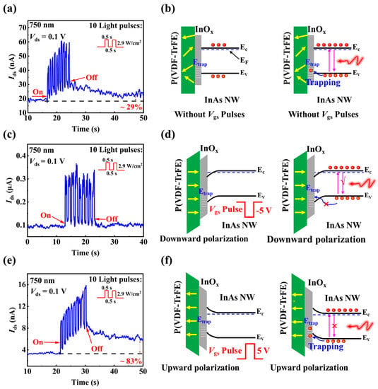 Optoelectronic Artificial Synapses Based on Two-Dimensional  Transitional-Metal Trichalcogenide