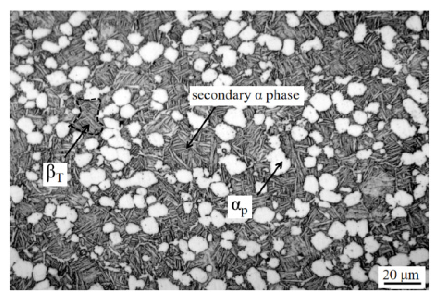 Materials 15 08249 g002