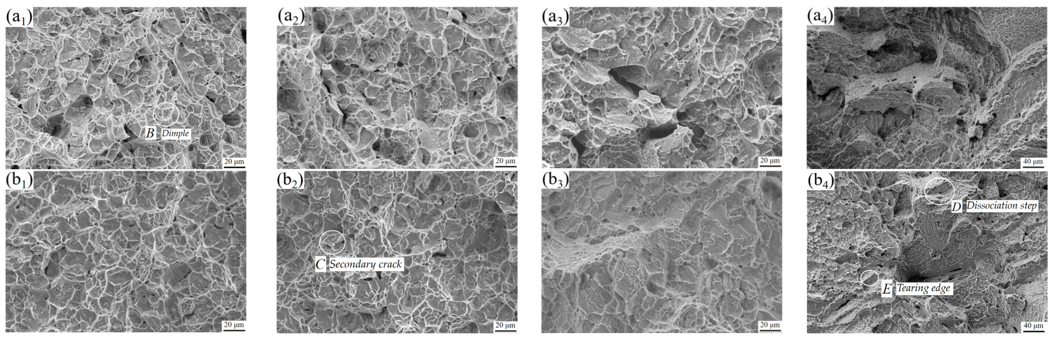 Materials 15 08249 g012