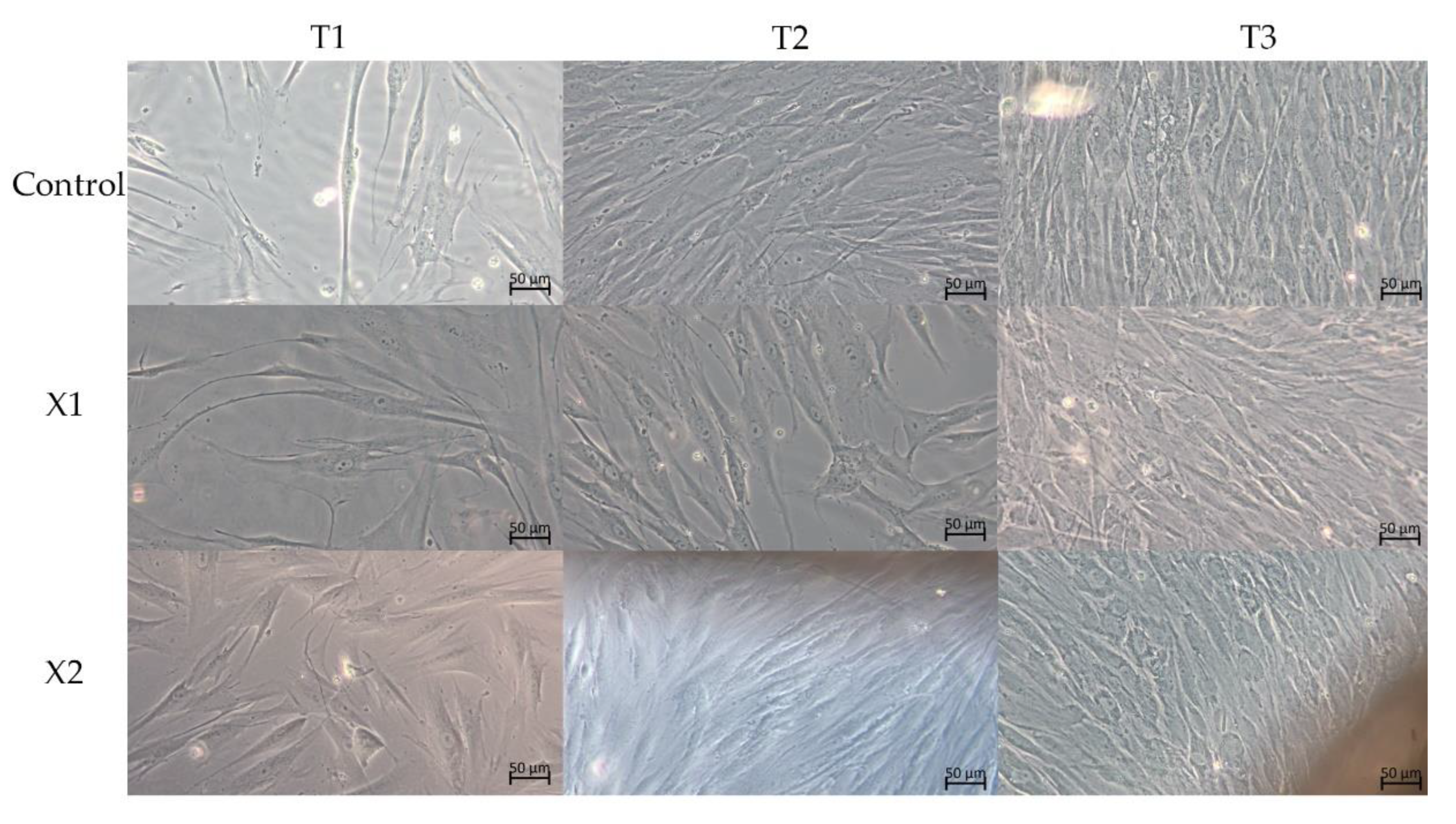 Materials 15 08284 g002 Materials 15 08284 g002