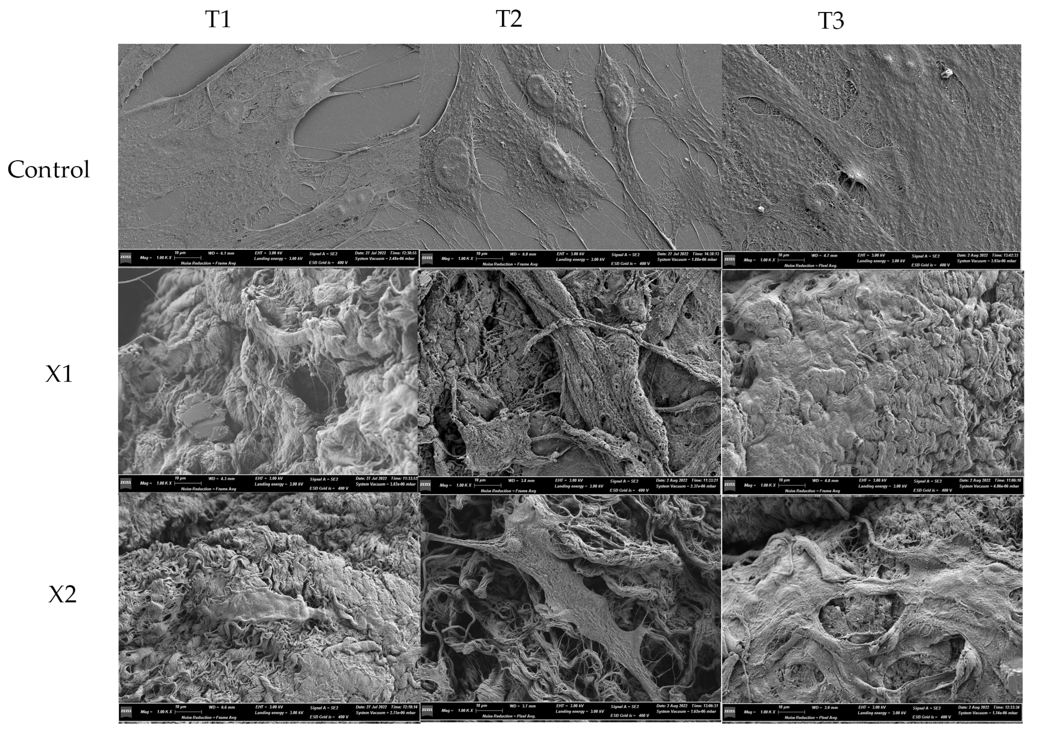 Materials 15 08284 g003 Materials 15 08284 g003