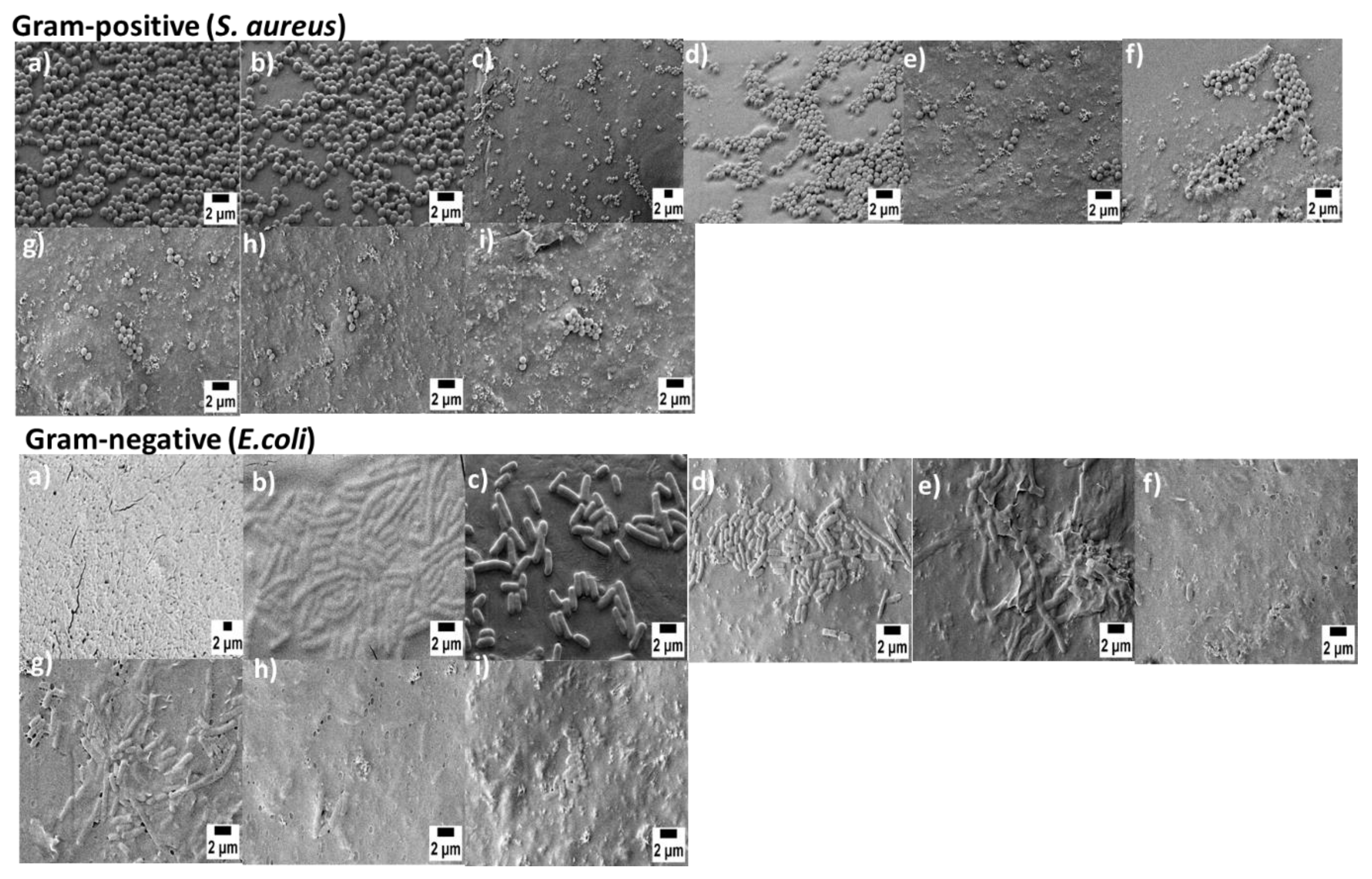 Materials 15 08289 g007 Materials 15 08289 g007