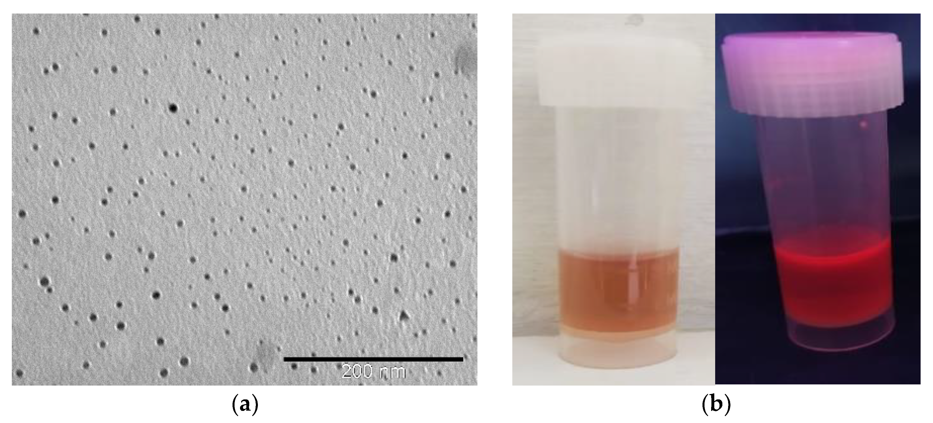 Materials 15 08448 g001a Materials 15 08448 g001a