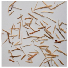 Materials 15 08487 i010 Materials 15 08487 i010