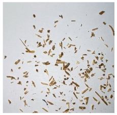 Materials 15 08487 i012 Materials 15 08487 i012