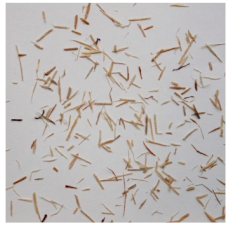 Materials 15 08487 i013 Materials 15 08487 i013