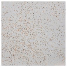 Materials 15 08487 i017 Materials 15 08487 i017