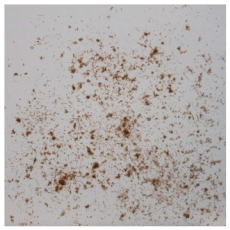 Materials 15 08487 i019 Materials 15 08487 i019