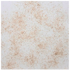 Materials 15 08487 i020 Materials 15 08487 i020