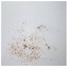 Materials 15 08487 i021 Materials 15 08487 i021