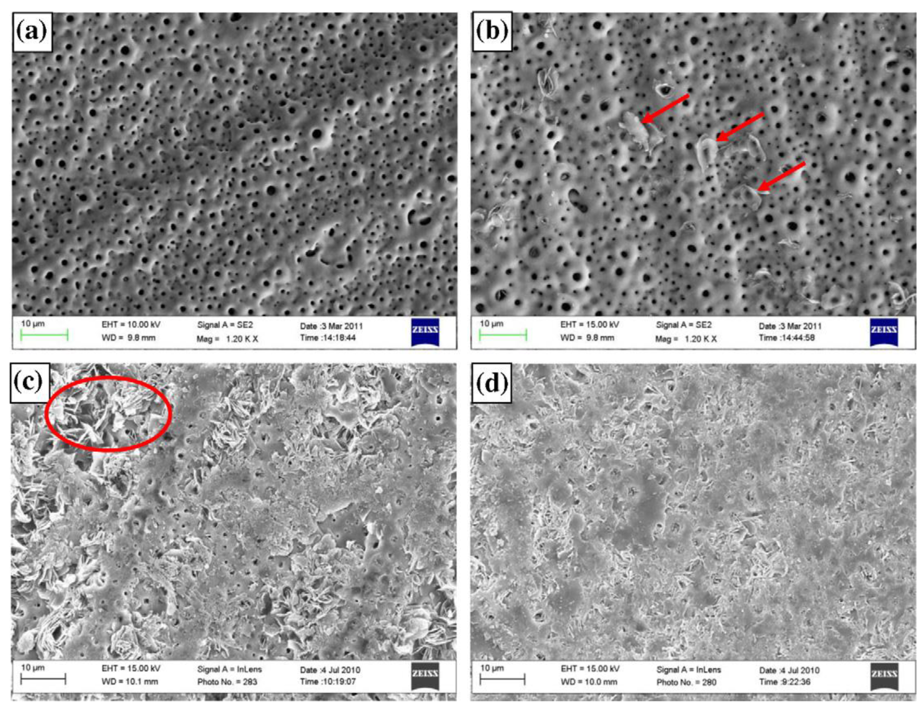Materials 15 08489 g020 Materials 15 08489 g020