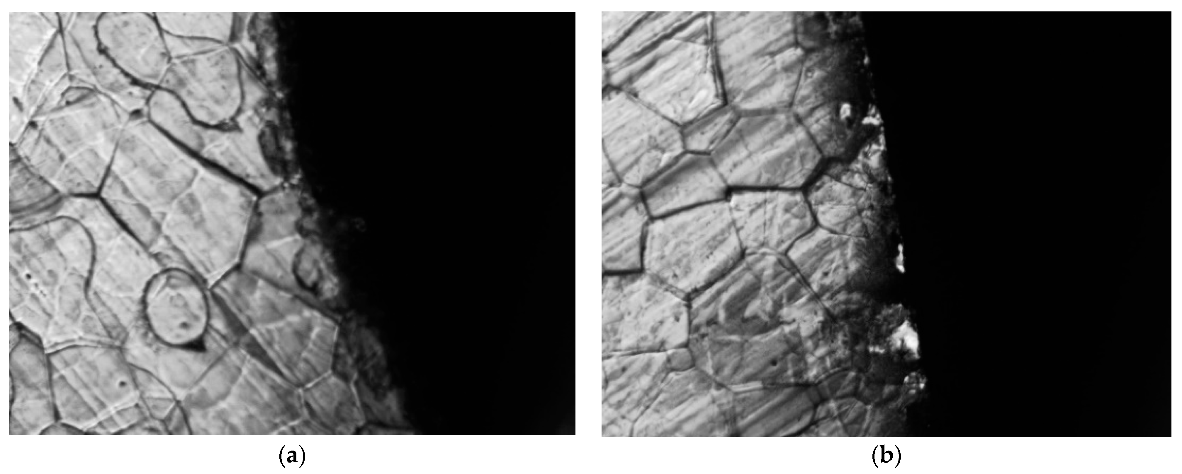 Materials 15 08502 g019 Materials 15 08502 g019