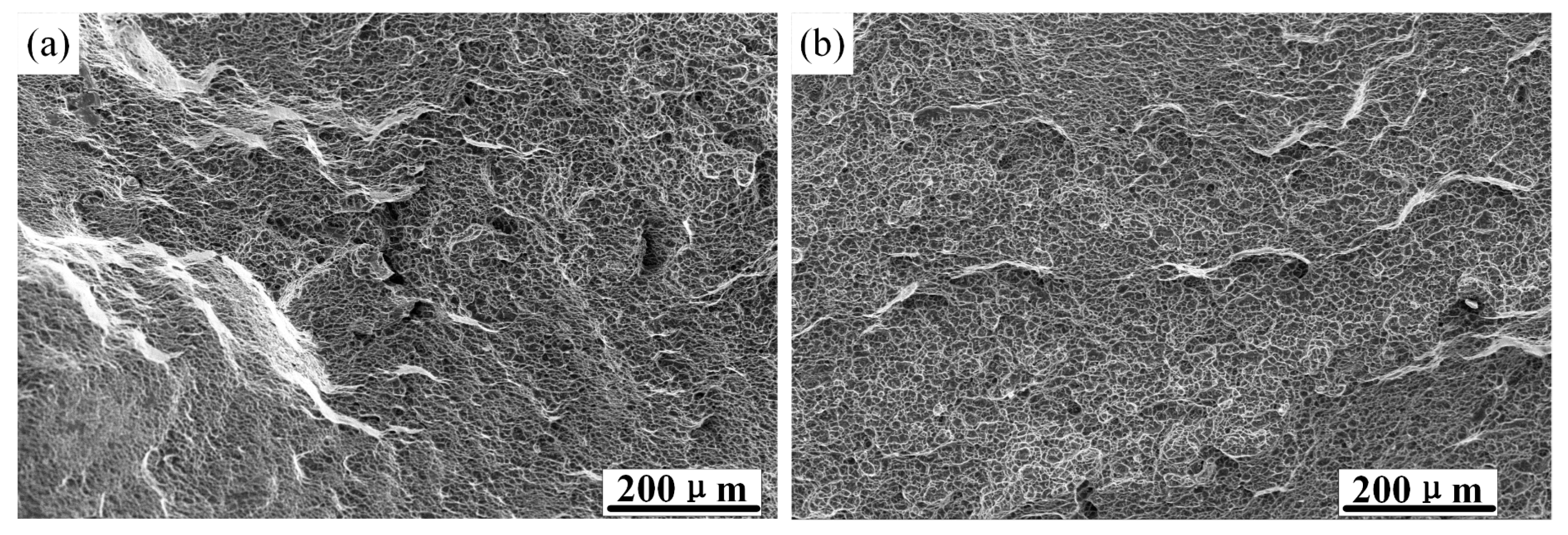 Materials 15 08589 g018 Materials 15 08589 g018