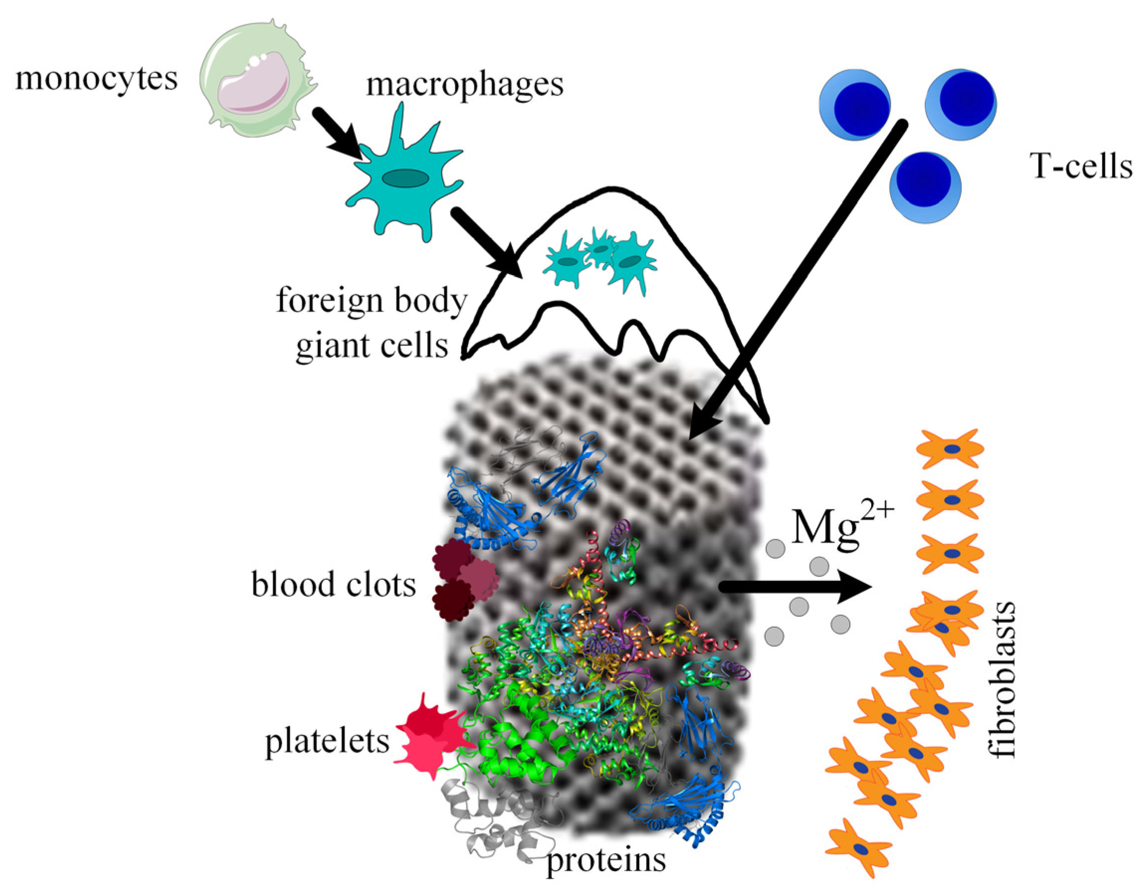 Materials 15 08693 g009