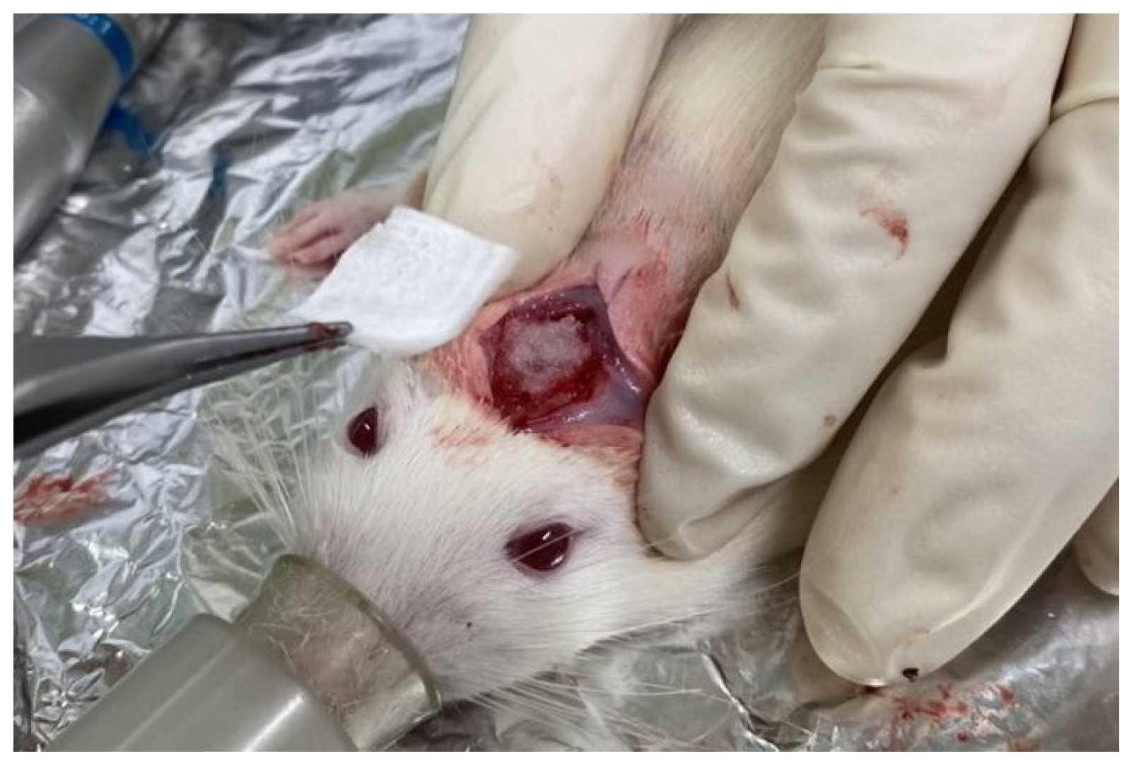 Materials 15 08802 g002 Materials 15 08802 g002