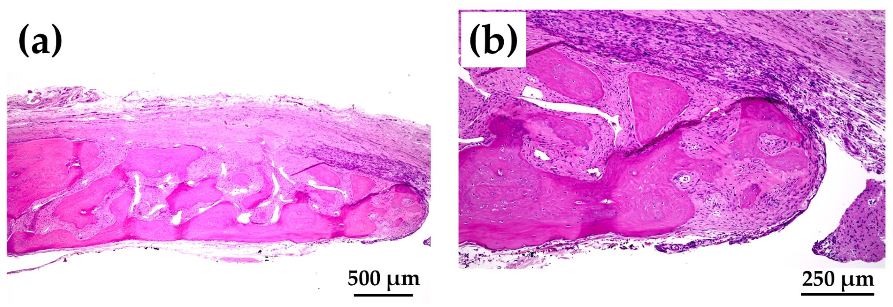 Materials 15 08802 g012 Materials 15 08802 g012