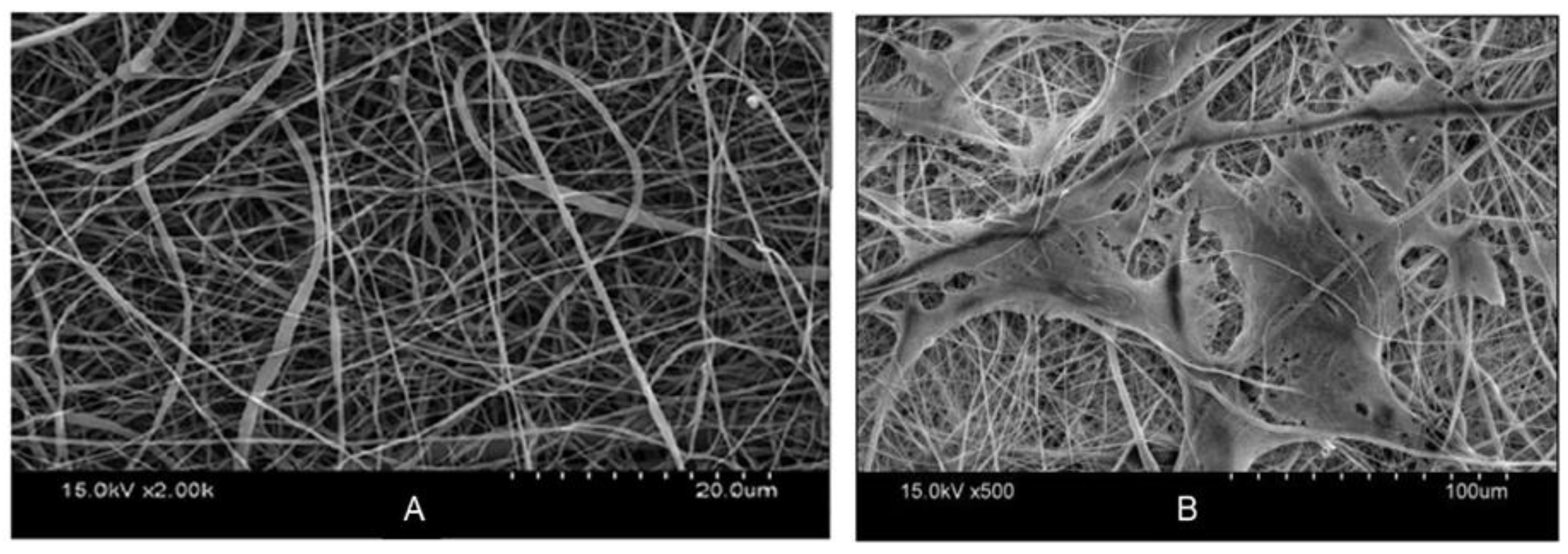 Materials 15 08820 g016 Materials 15 08820 g016