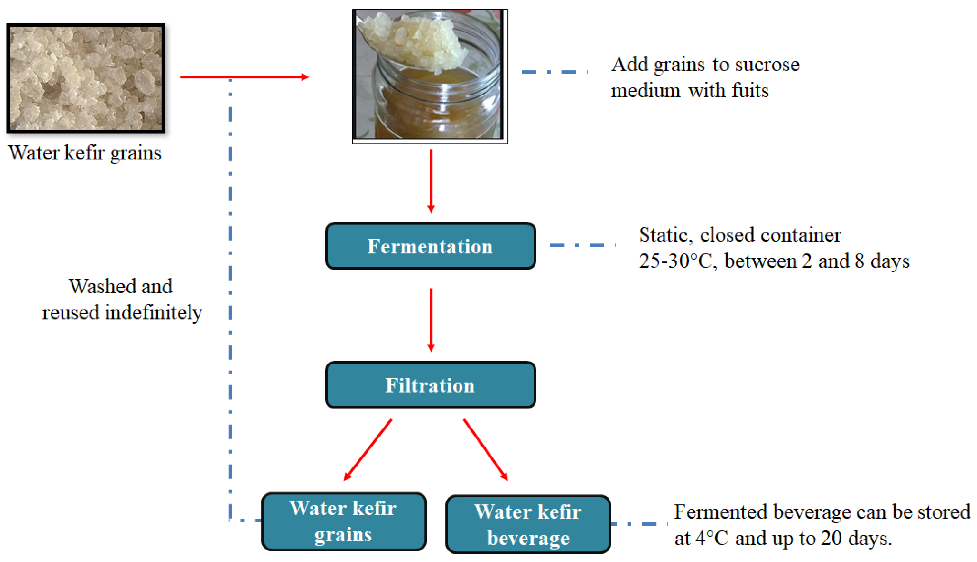 KEFIR D'ACQUA (TIBICOS) BIO 30 GR.