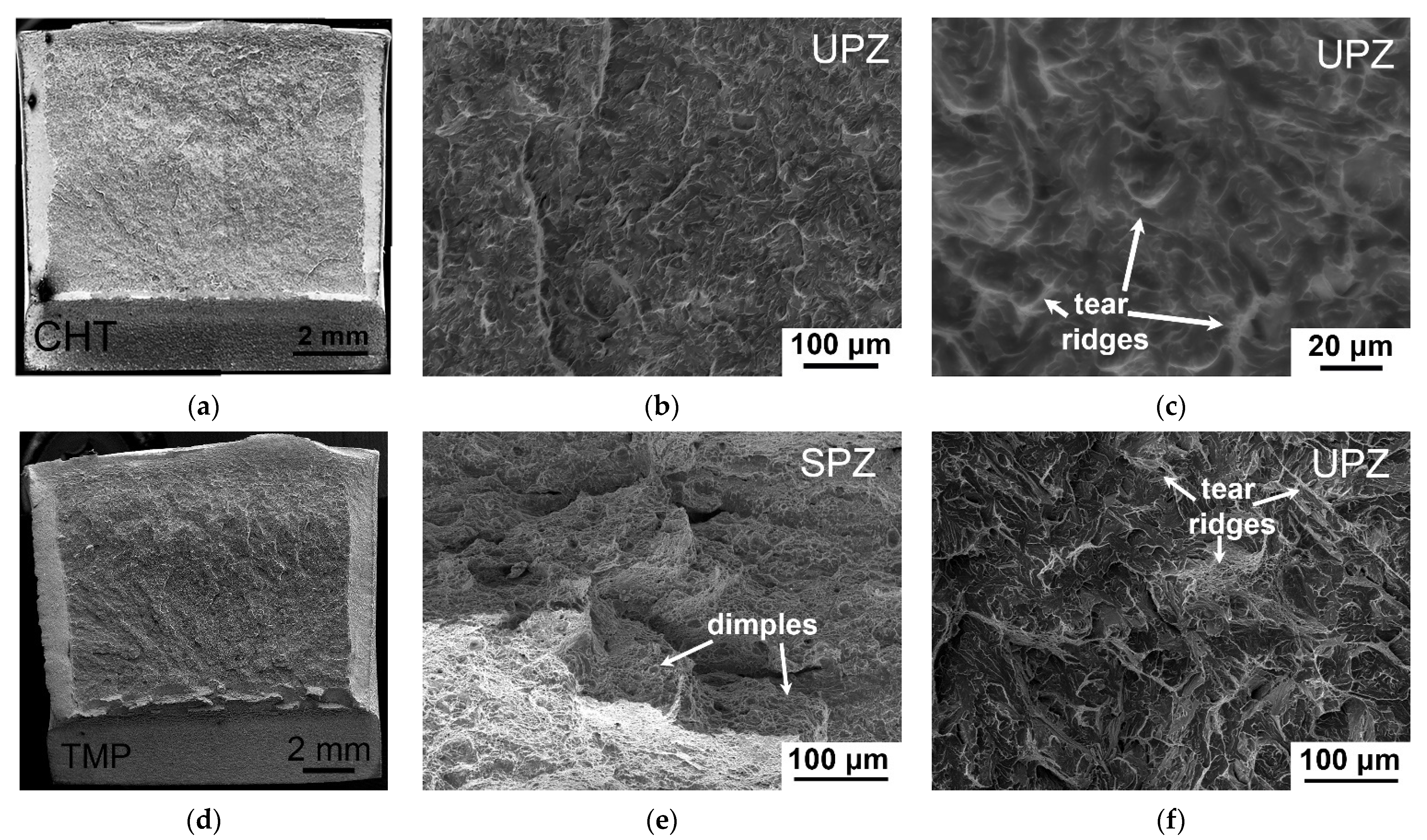 Materials 15 08861 g004