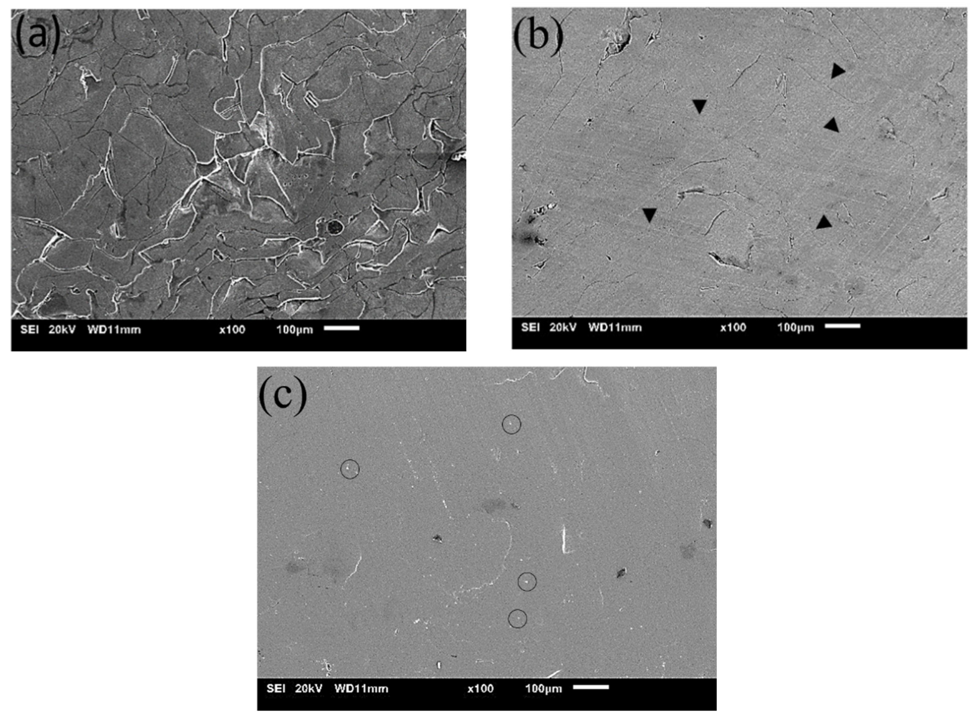 Materials 15 08989 g003