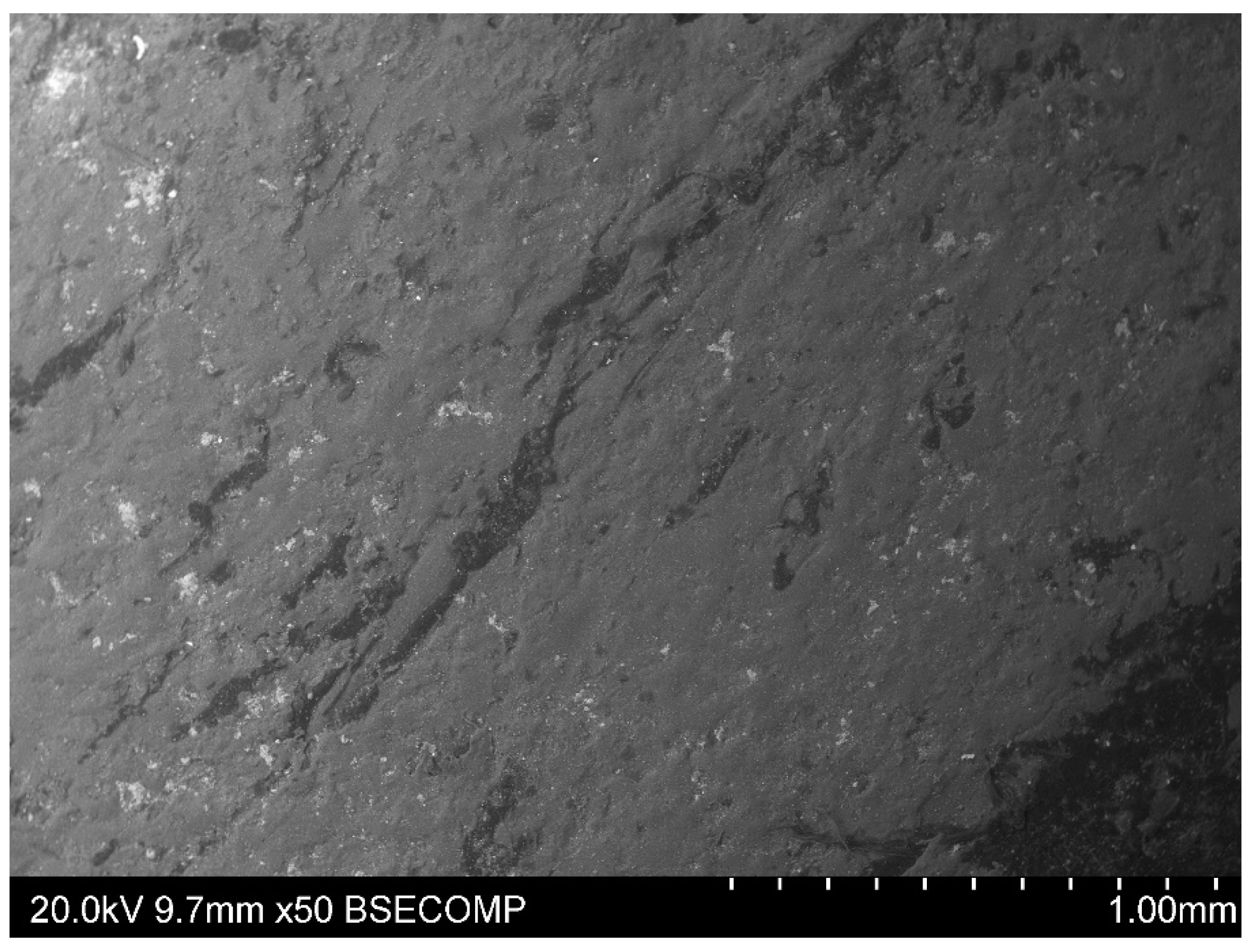 Materials 15 09019 g005