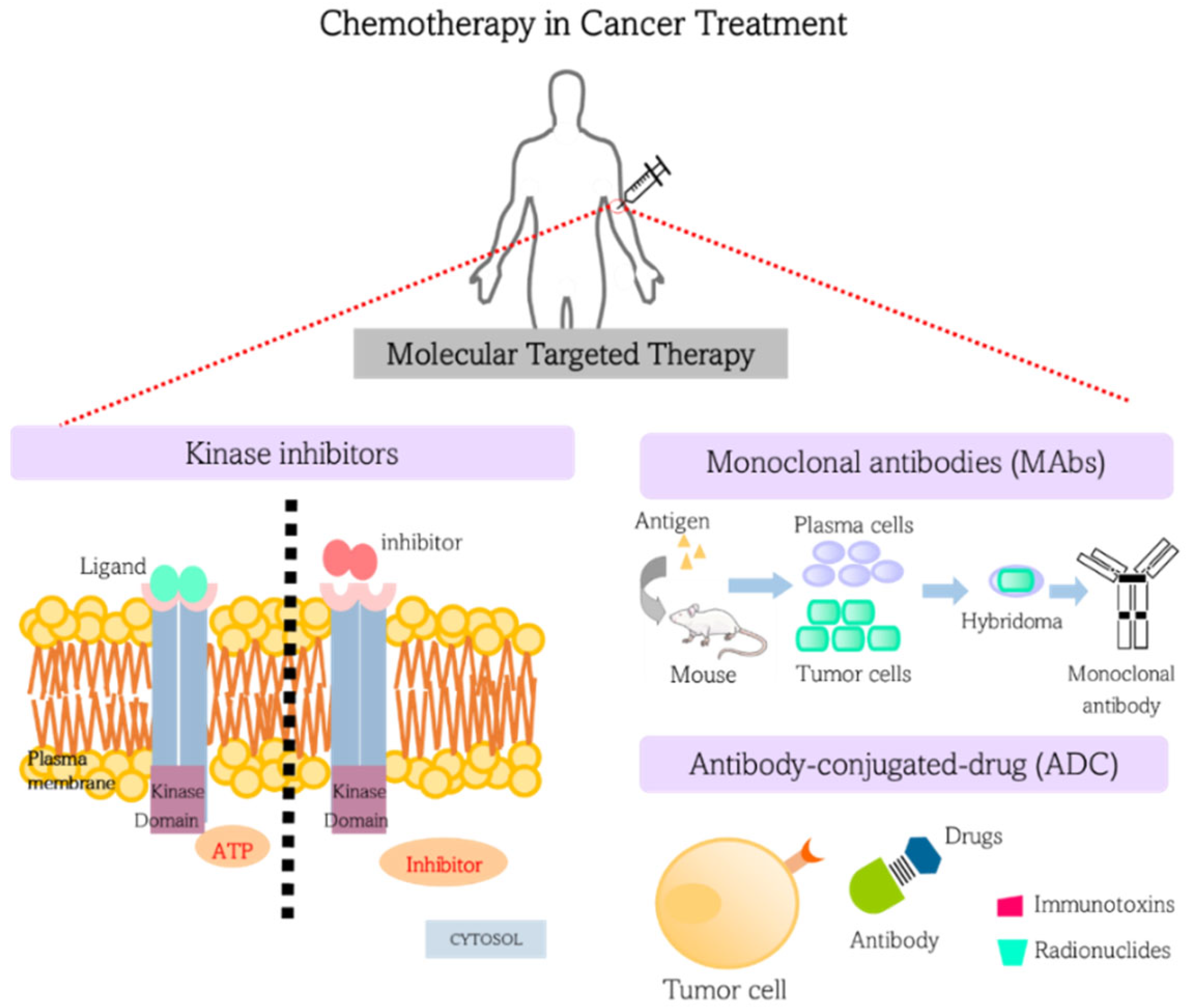 Materials 15 09082 g001