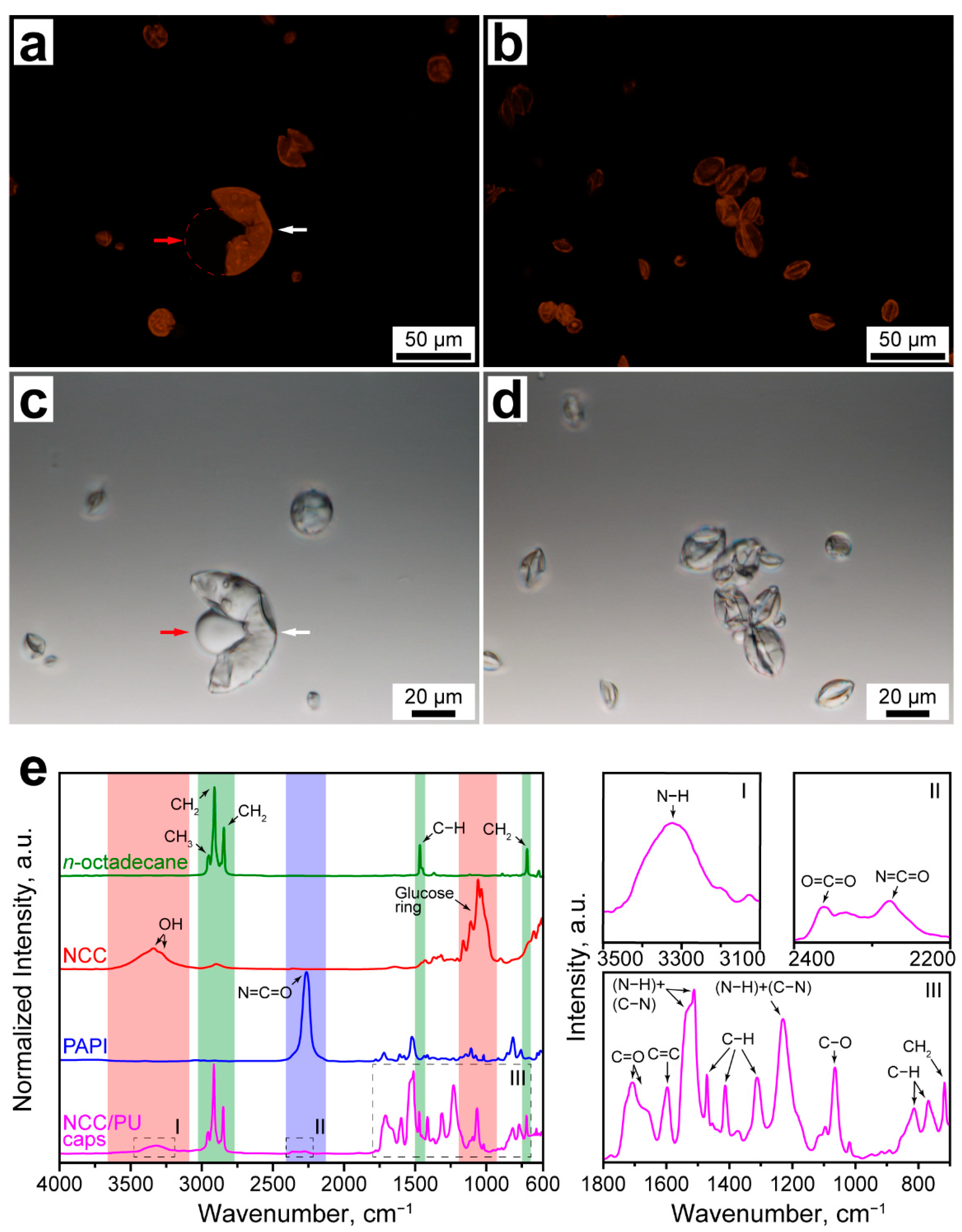 Materials 16 00029 g001