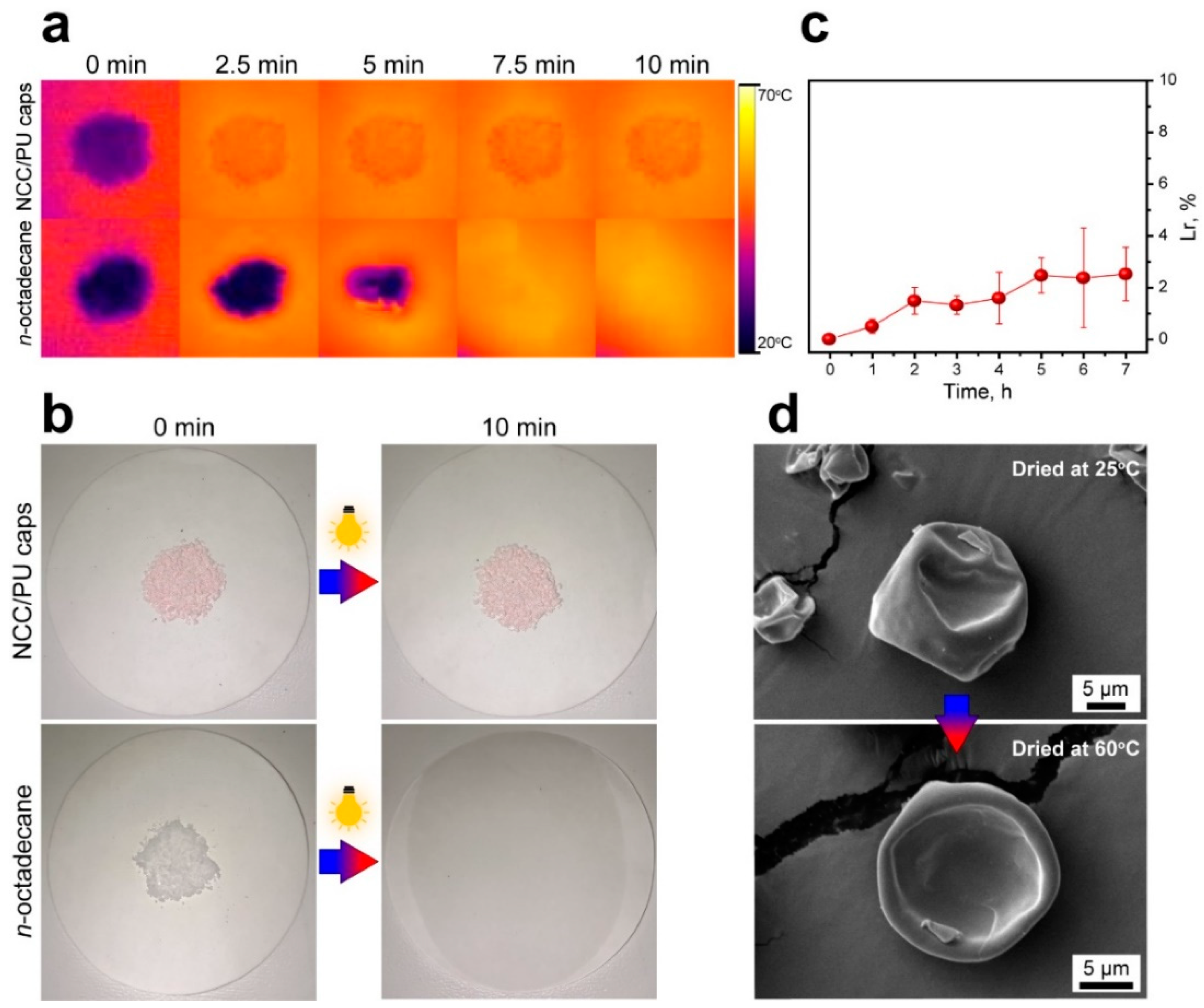 Materials 16 00029 g006