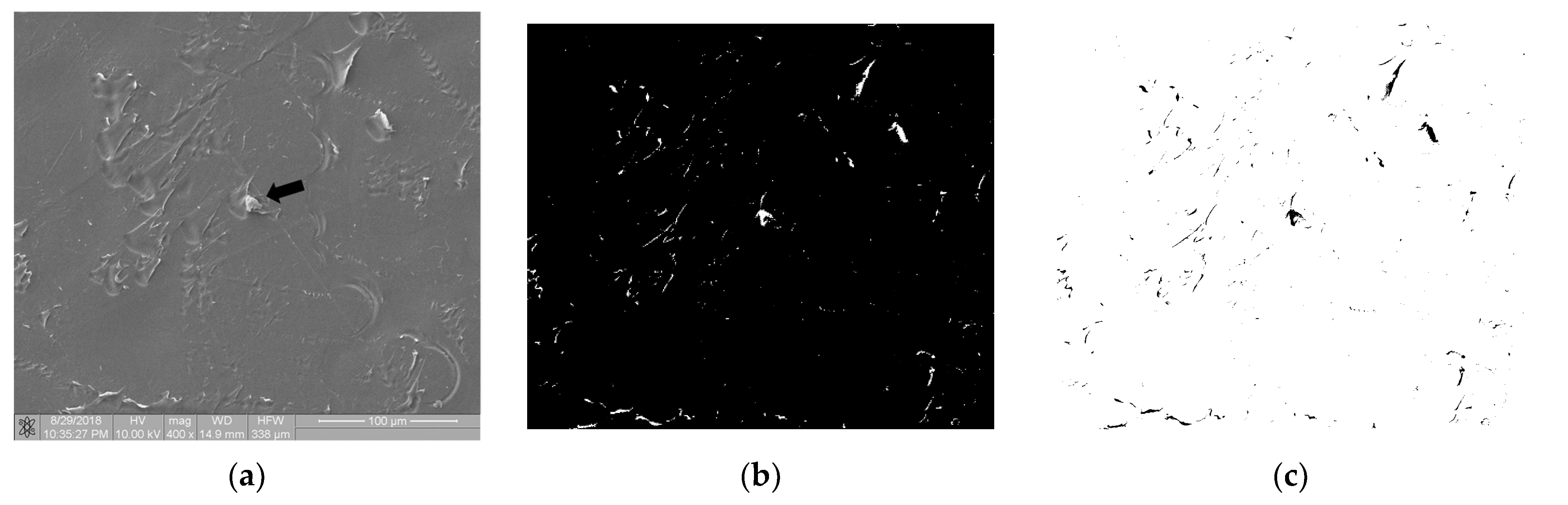 Materials 16 00038 g007 Materials 16 00038 g007