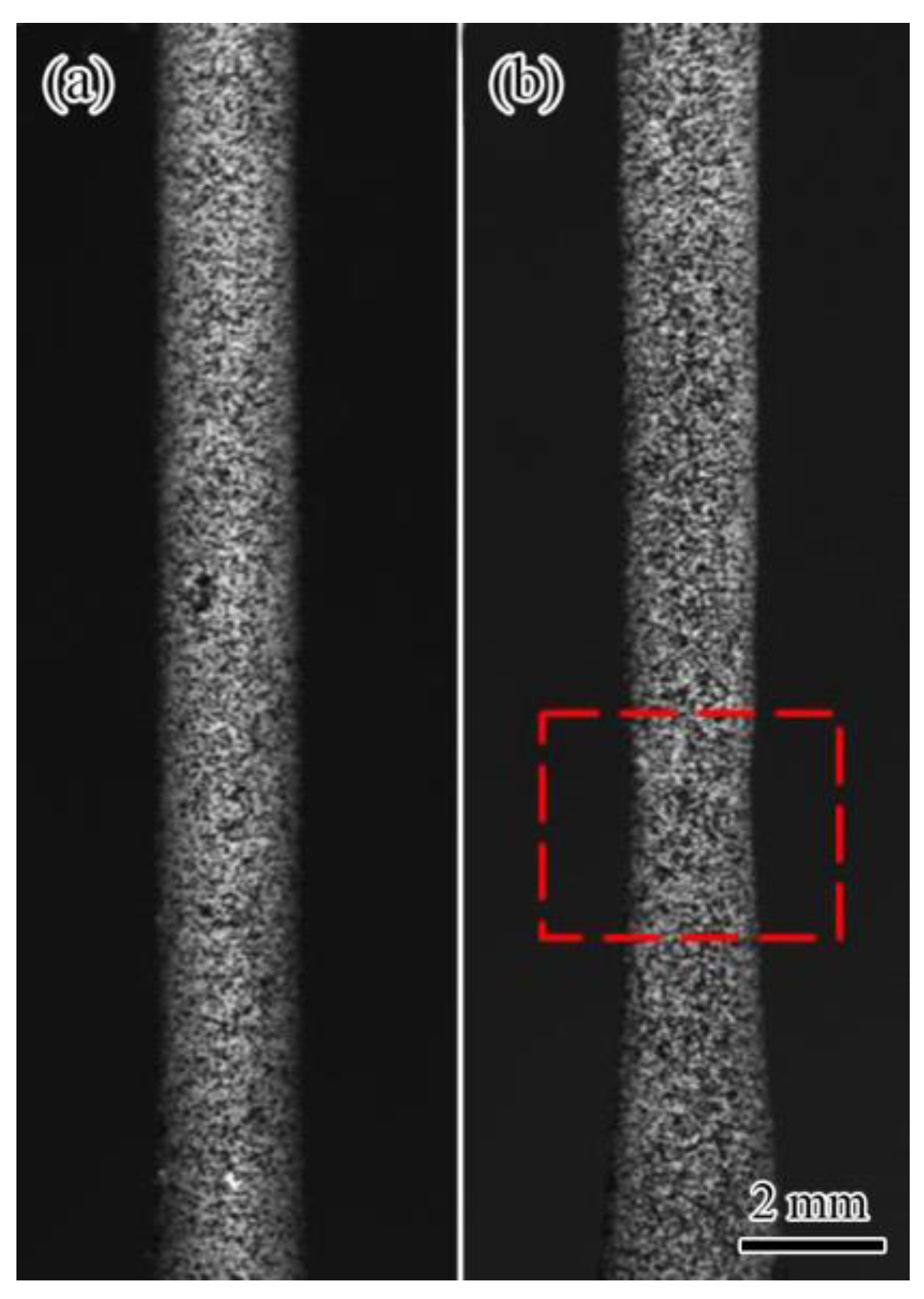 Materials 16 00047 g005