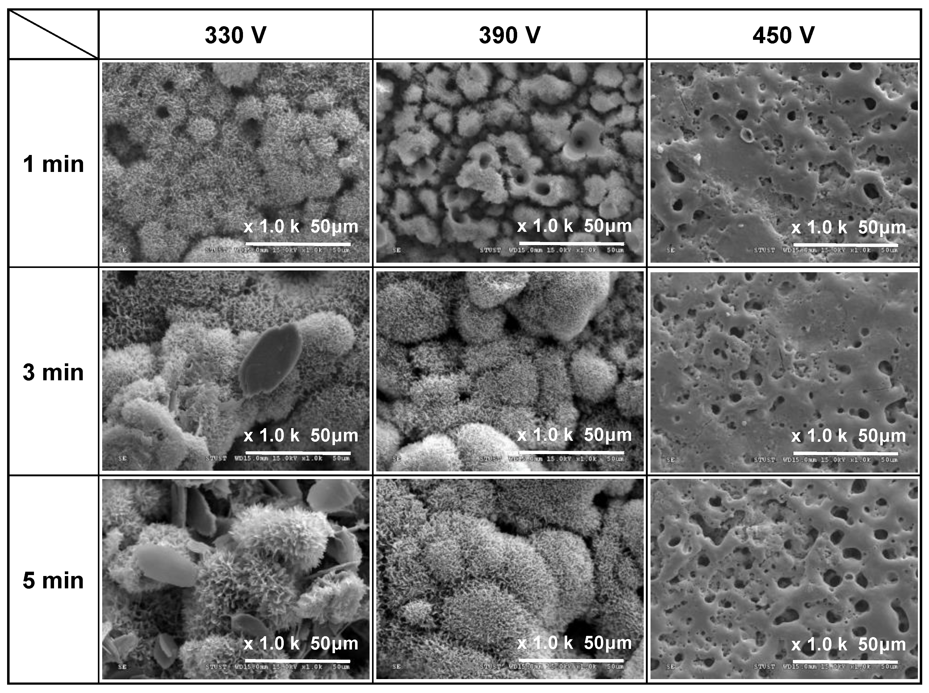 Materials 16 00057 g002 Materials 16 00057 g002