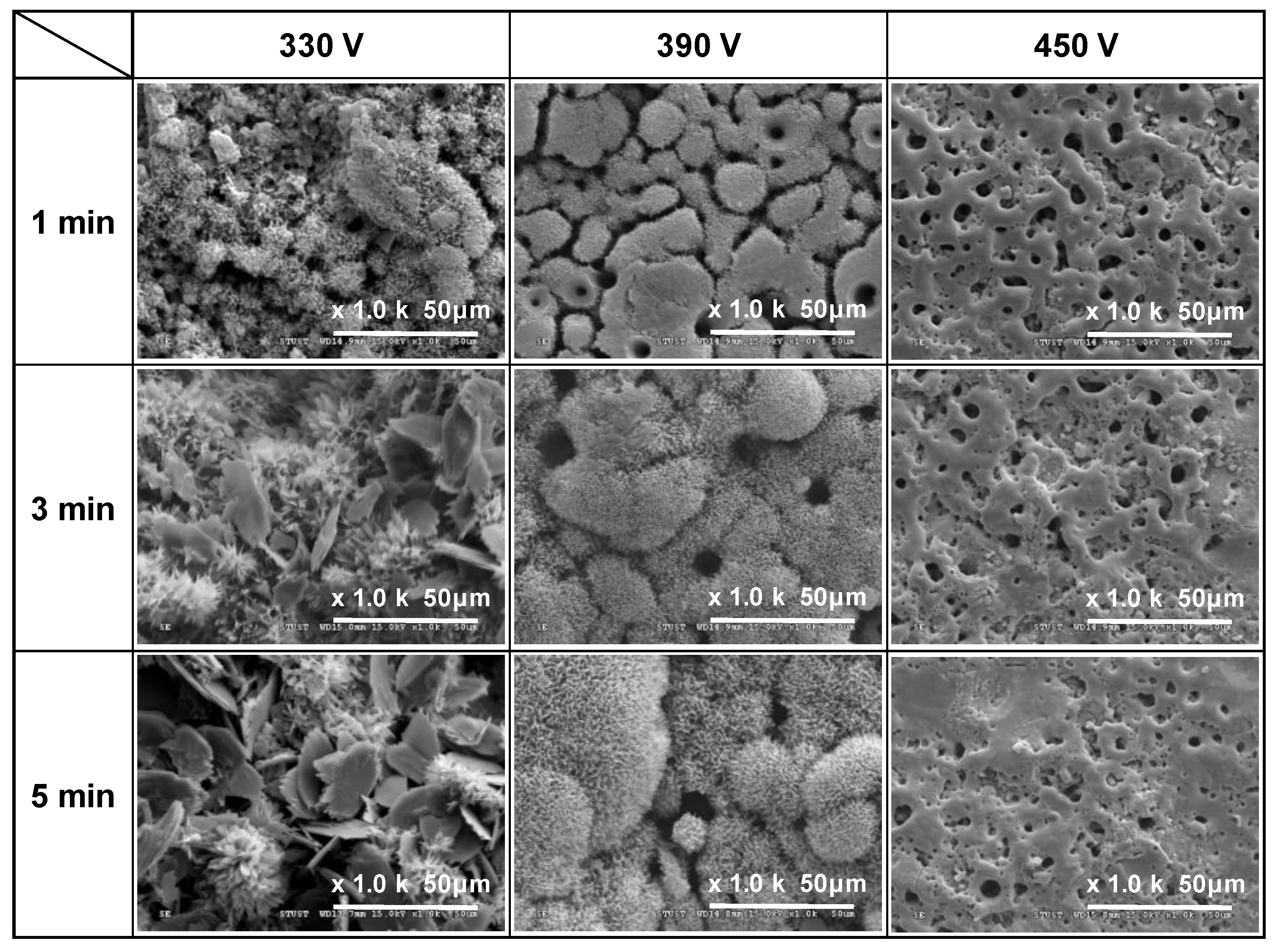 Materials 16 00057 g003 Materials 16 00057 g003