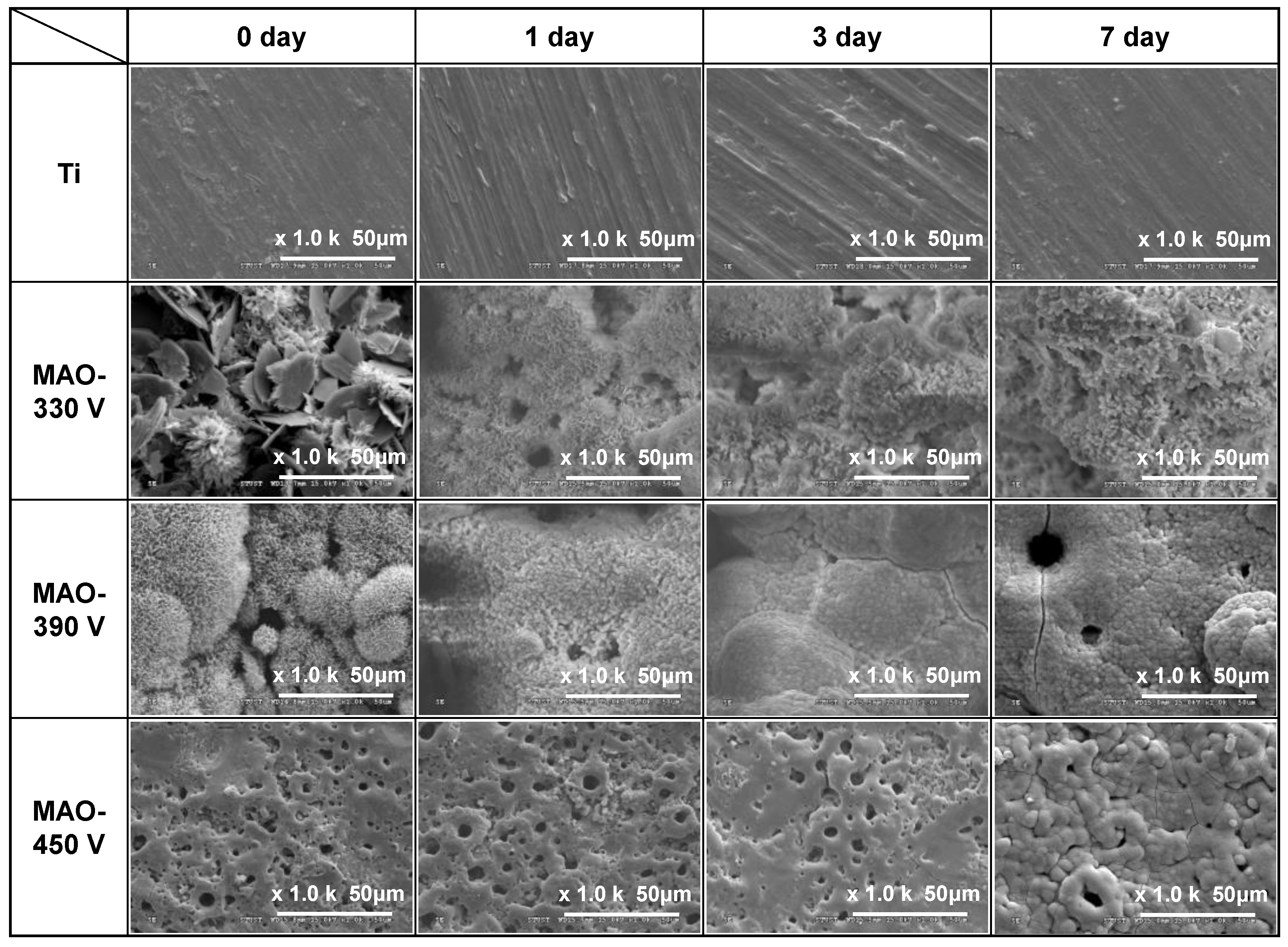 Materials 16 00057 g012 Materials 16 00057 g012