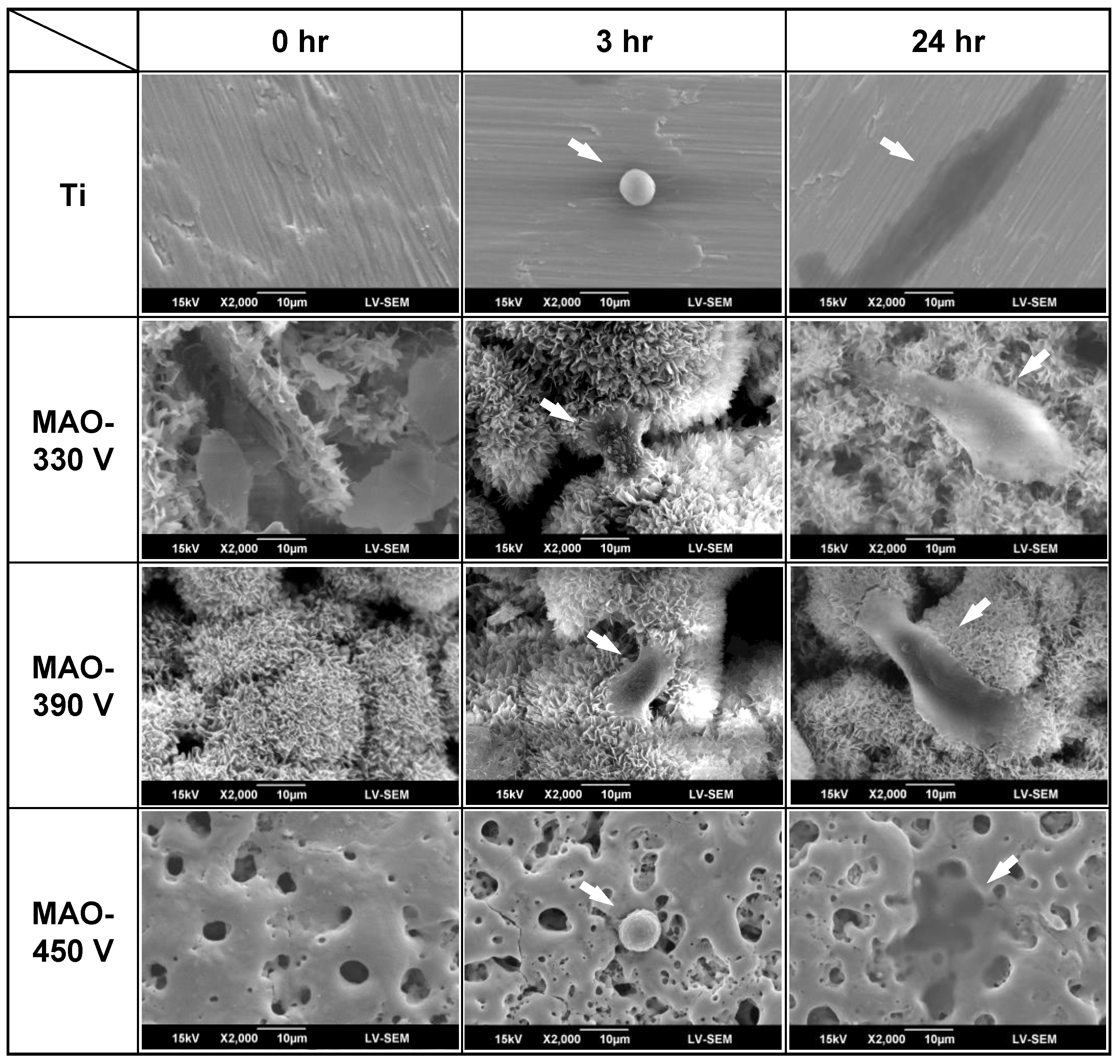 Materials 16 00057 g014 Materials 16 00057 g014