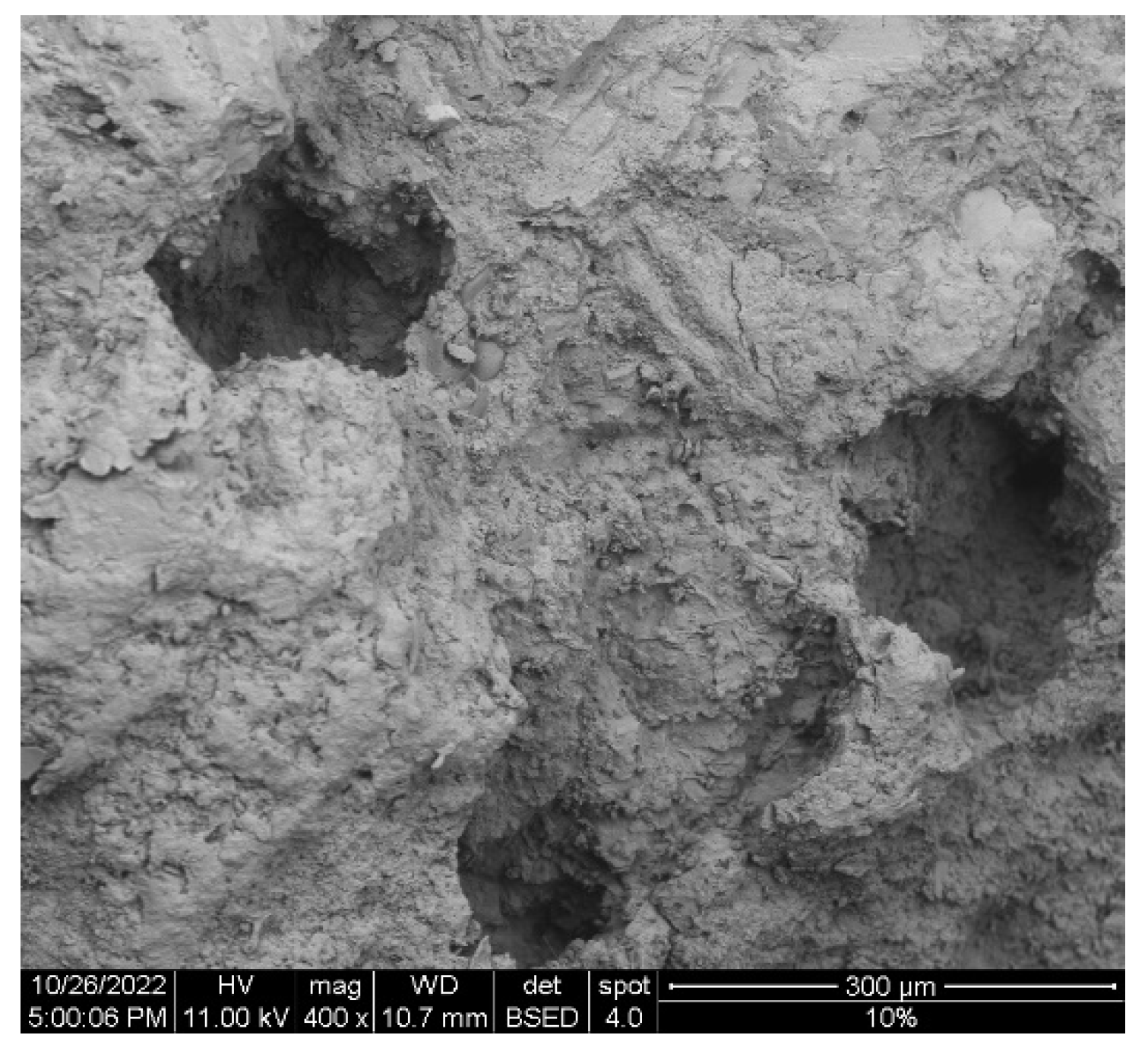 Materials 16 00063 g007