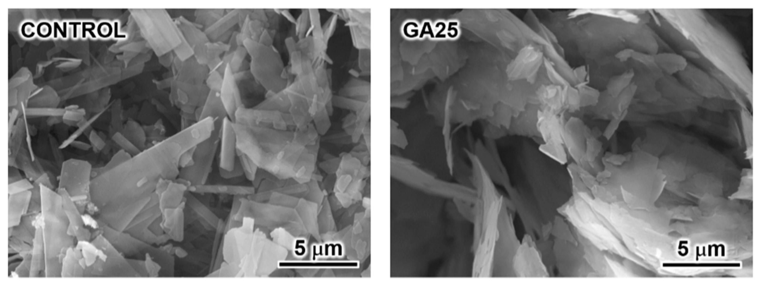 Materials 16 00064 g005