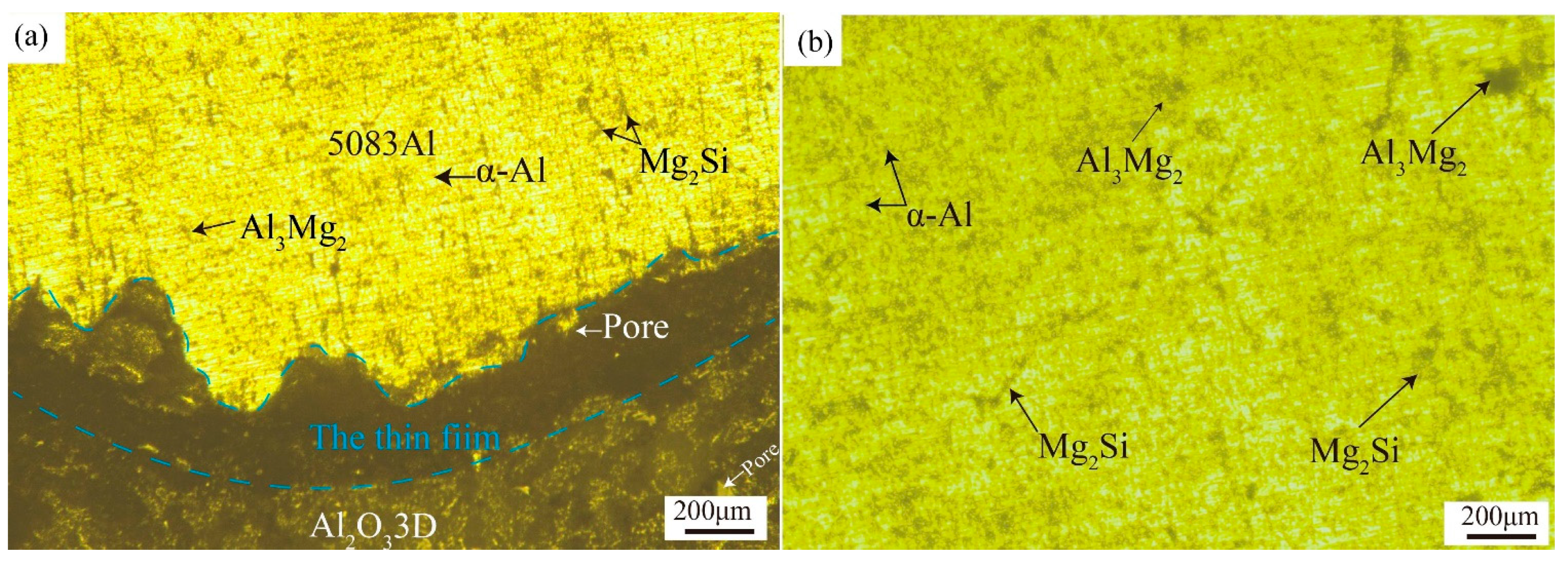 Materials 16 00086 g003