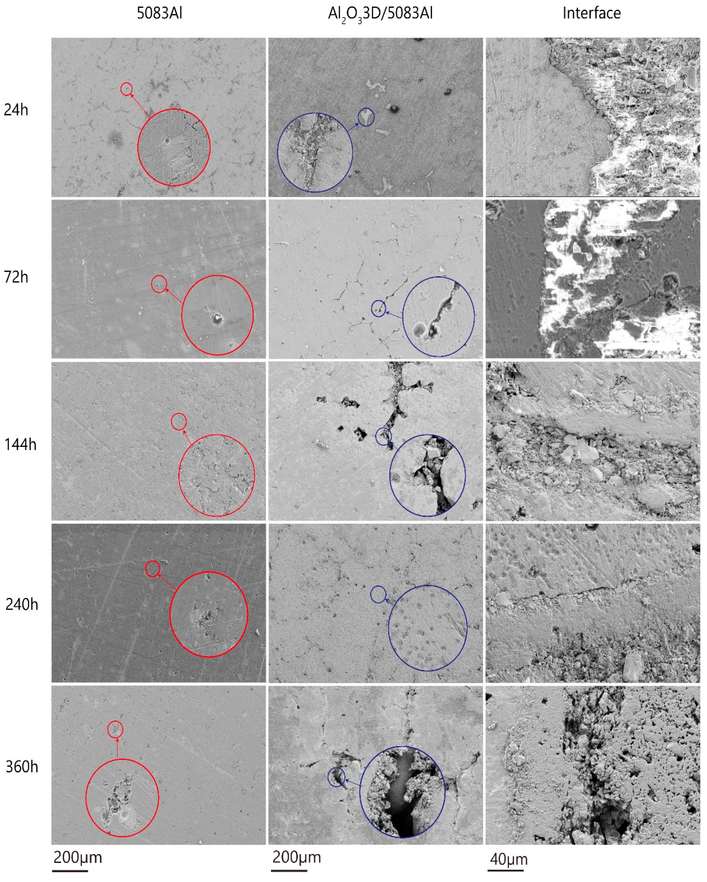 Materials 16 00086 g007