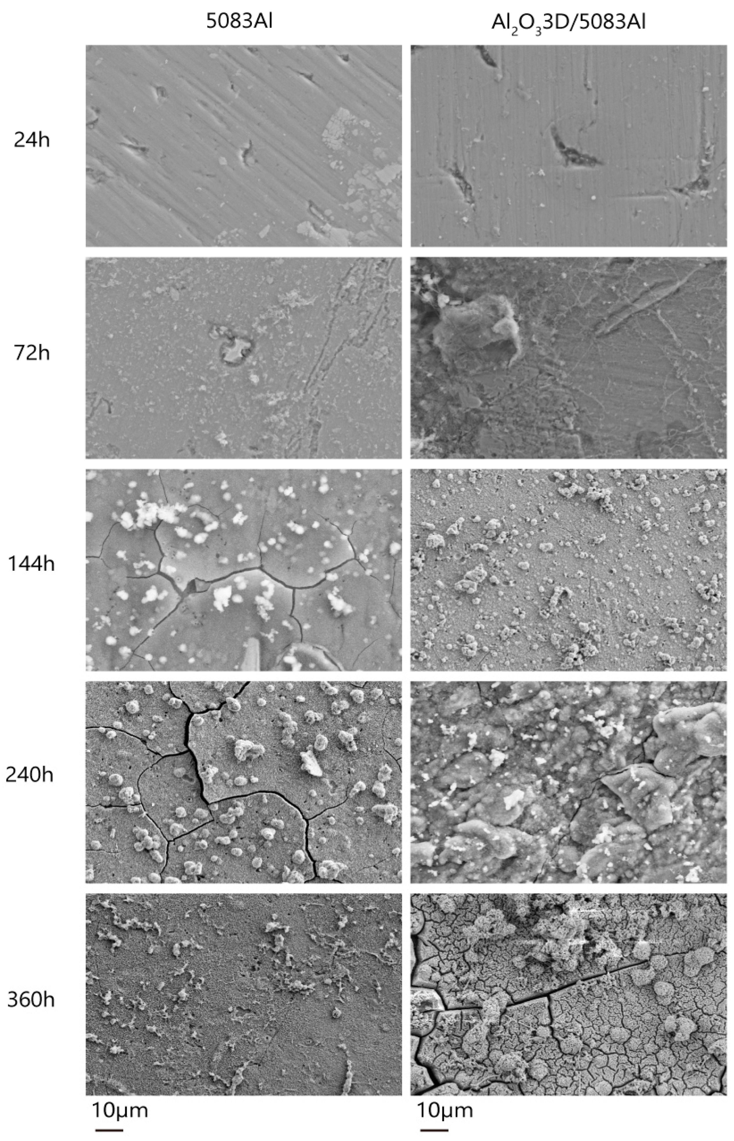 Materials 16 00086 g008